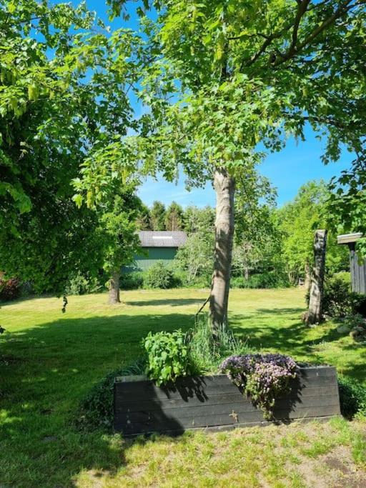Willkommen in Frifelt Nähe Rømø mit wunderschönen Garten