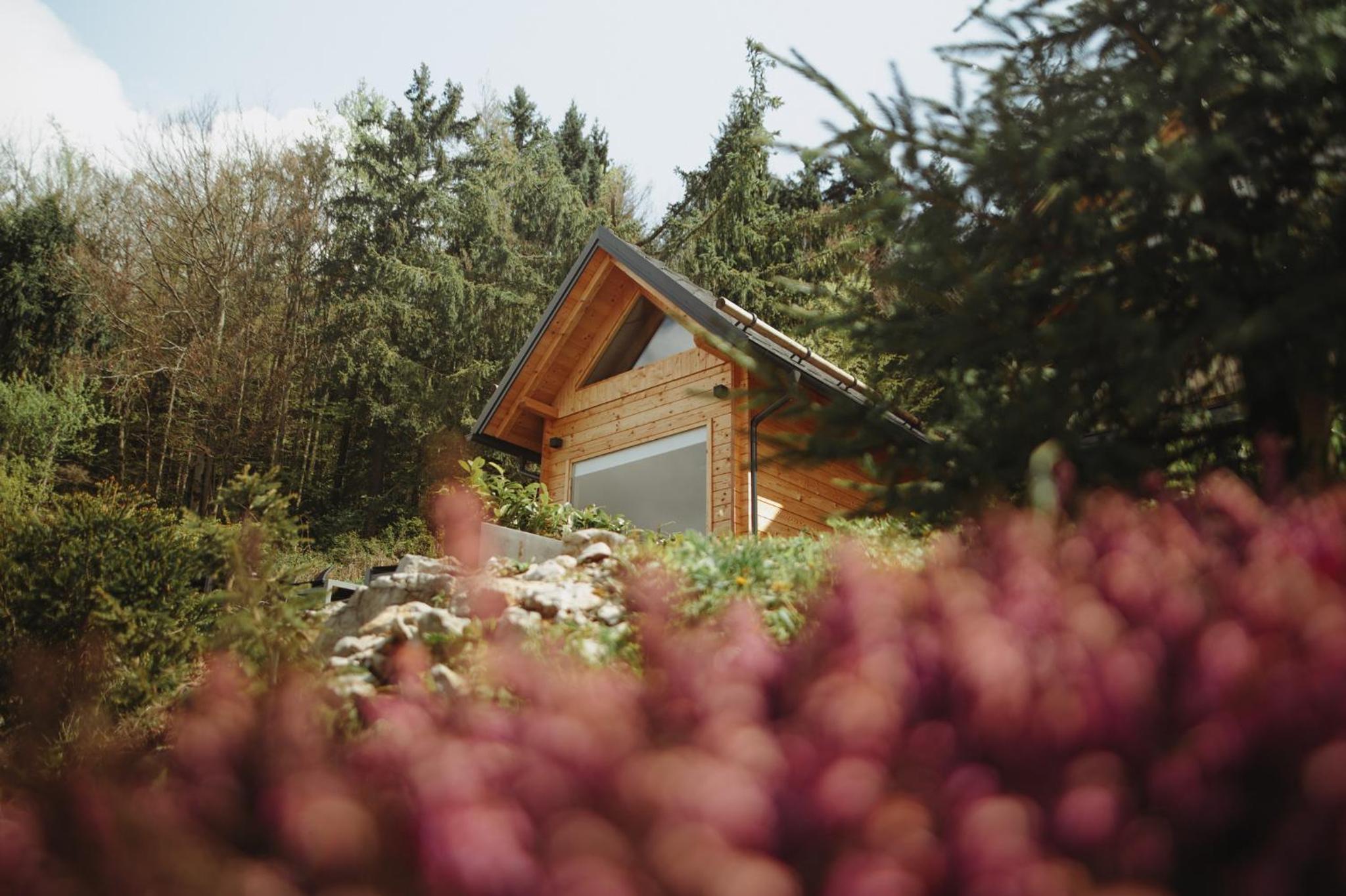 Med smrekami - Studio apartment with Chalet, Sauna and Jacuzzi