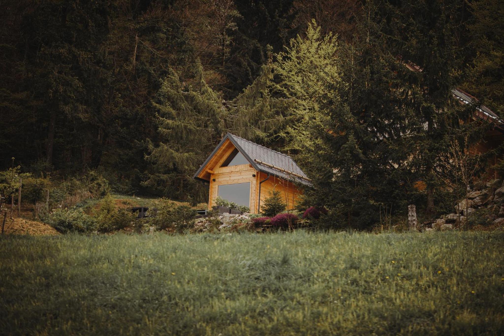 Med smrekami - Studio apartment with Chalet, Sauna and Jacuzzi