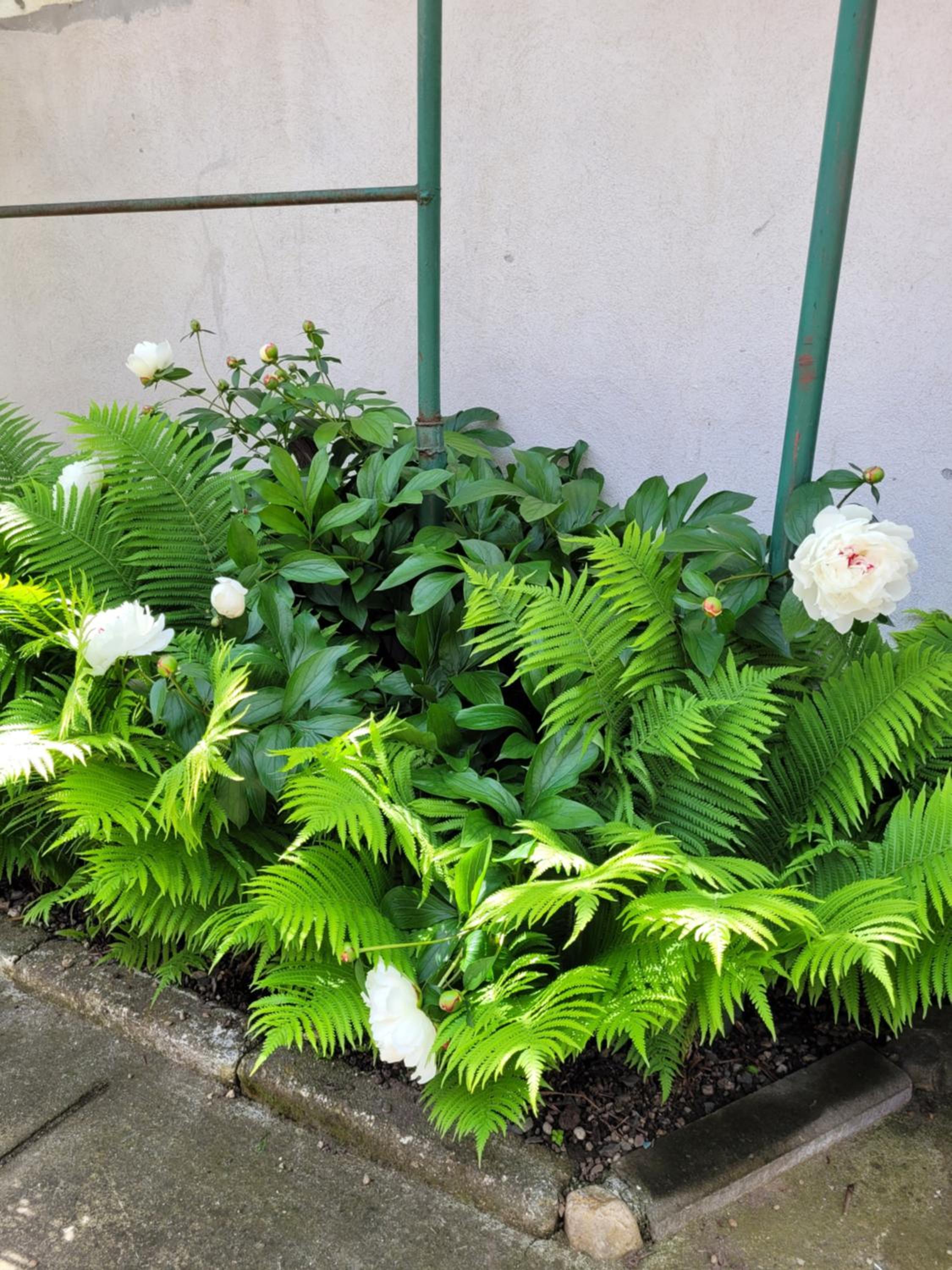 Photo 26