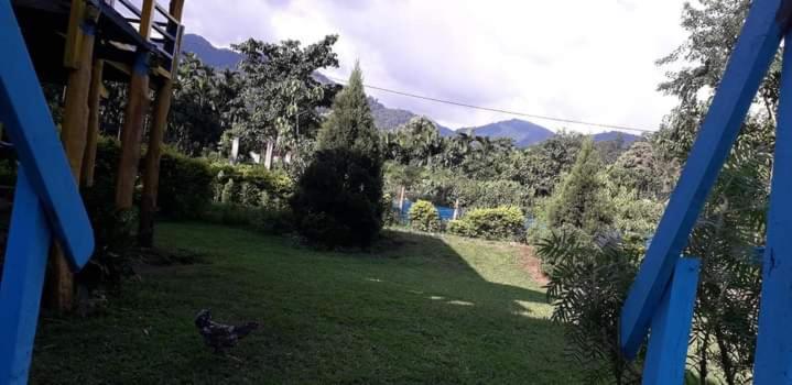 Raimatang Mountain View homestay