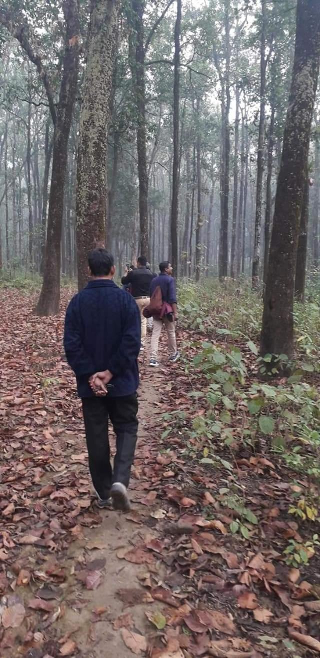 Raimatang Mountain View homestay