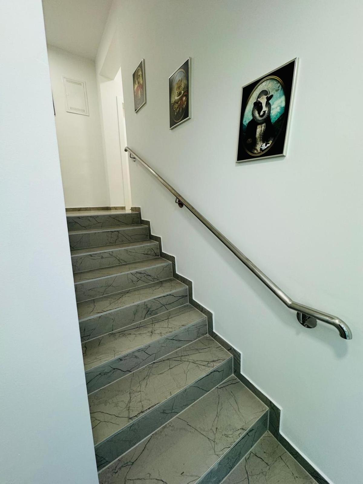 Apartmani Galeb