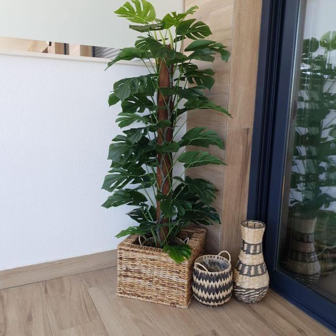 Apartment Florian
