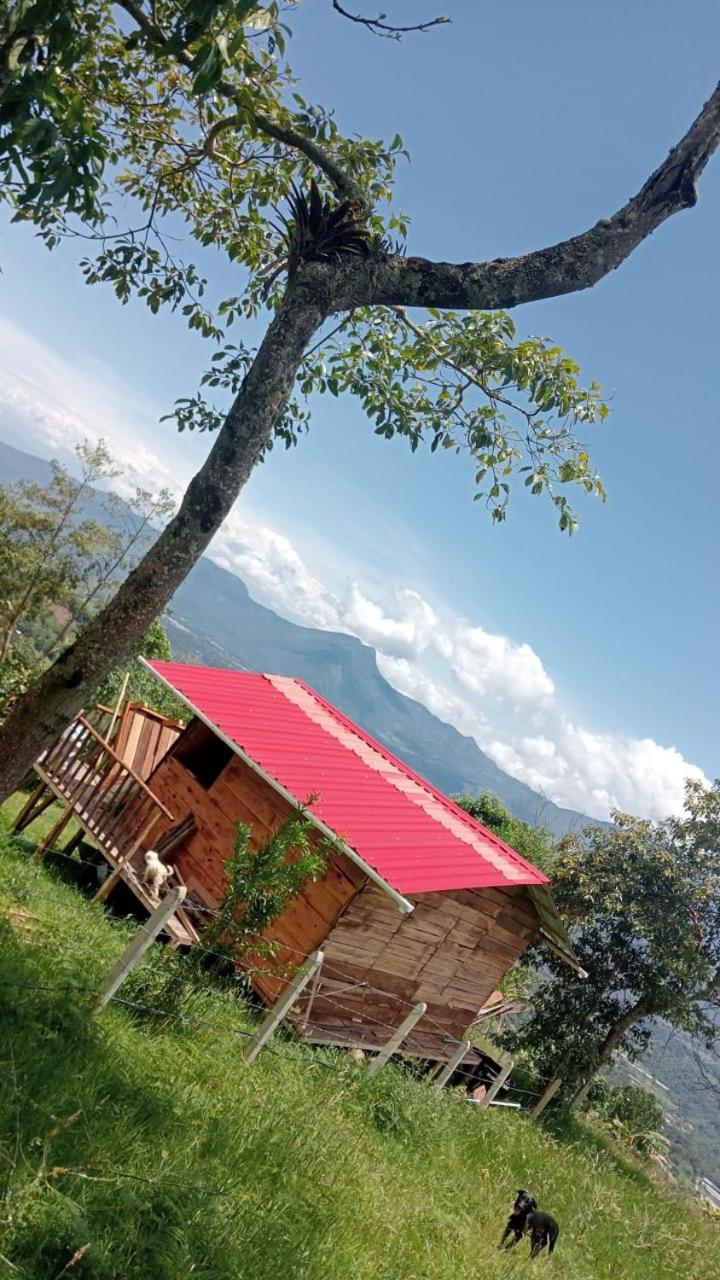 Cabaña Bella Vista - Arbeláez