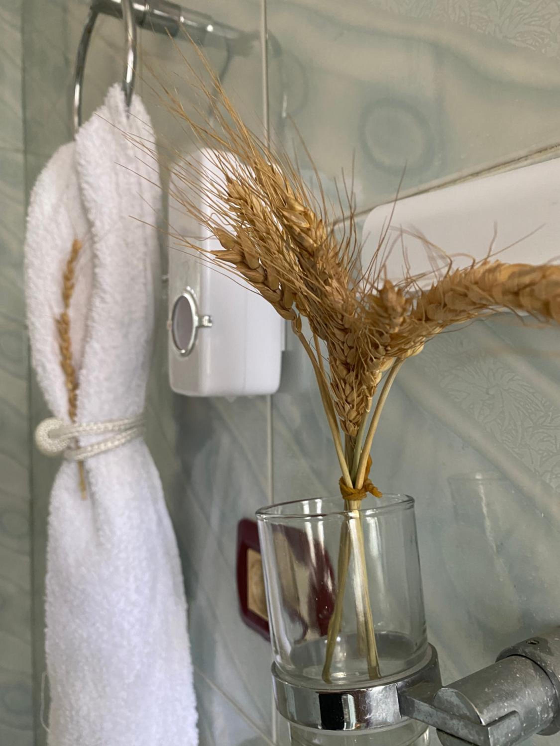 Apartament Karafili