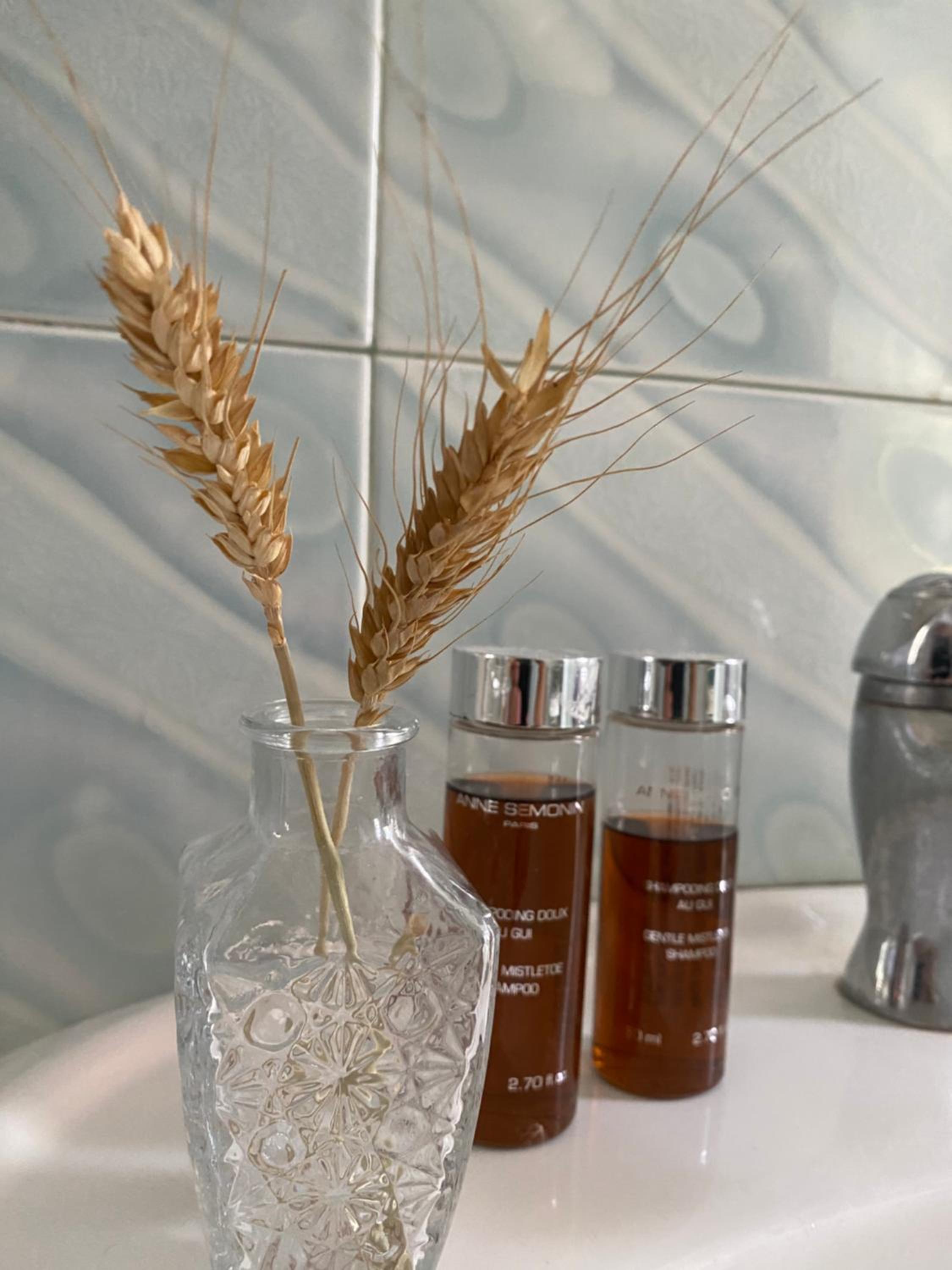 Apartament Karafili