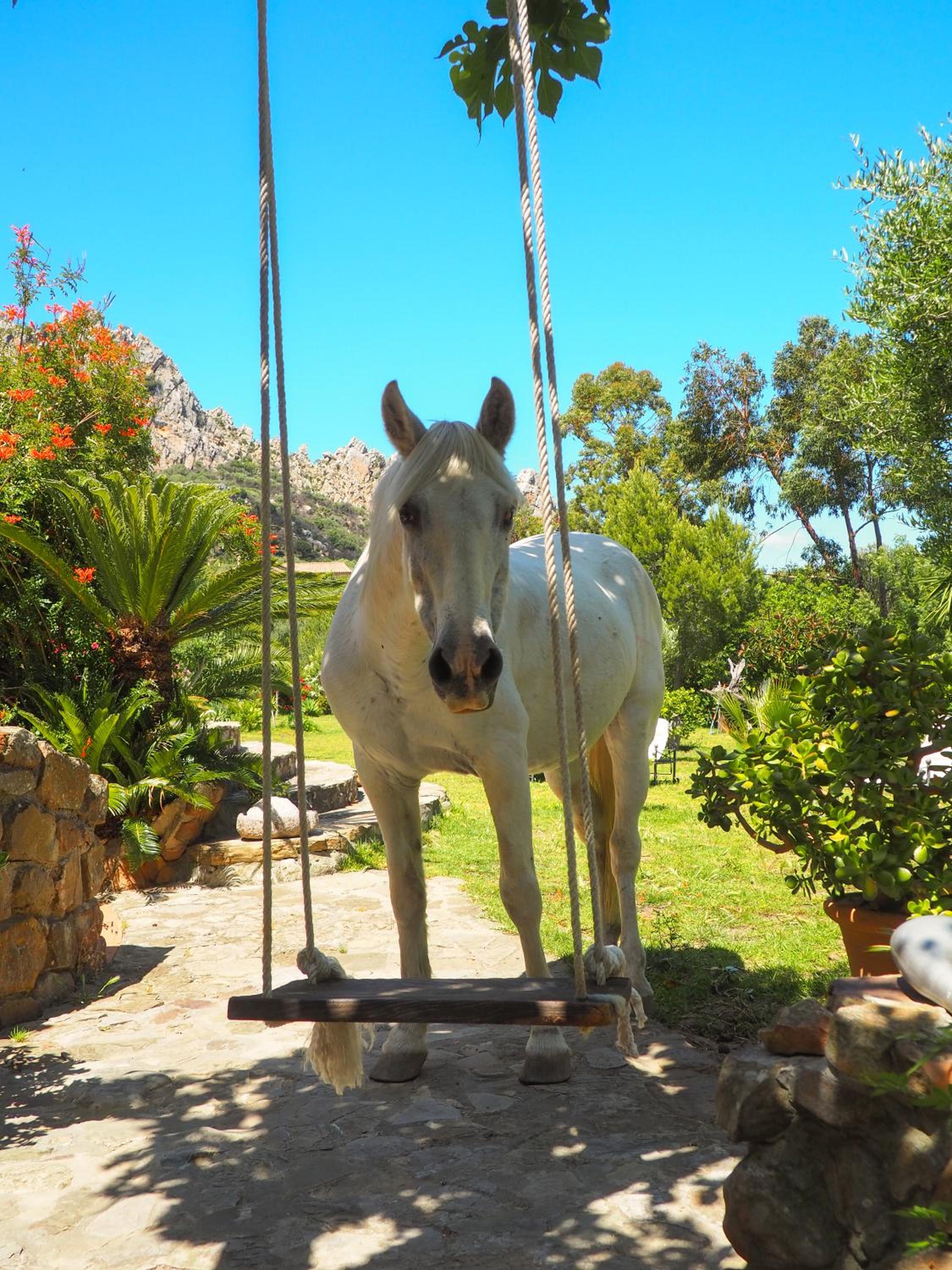 Tarifa Apartement Horses and Nature