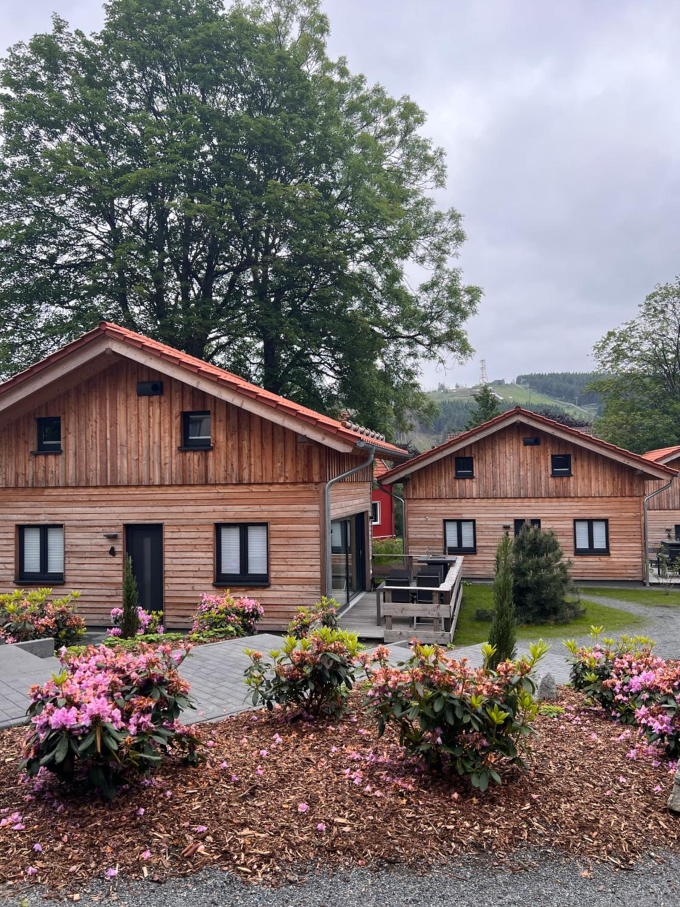 Hotel Cecilienpark Oberharz - Image 1