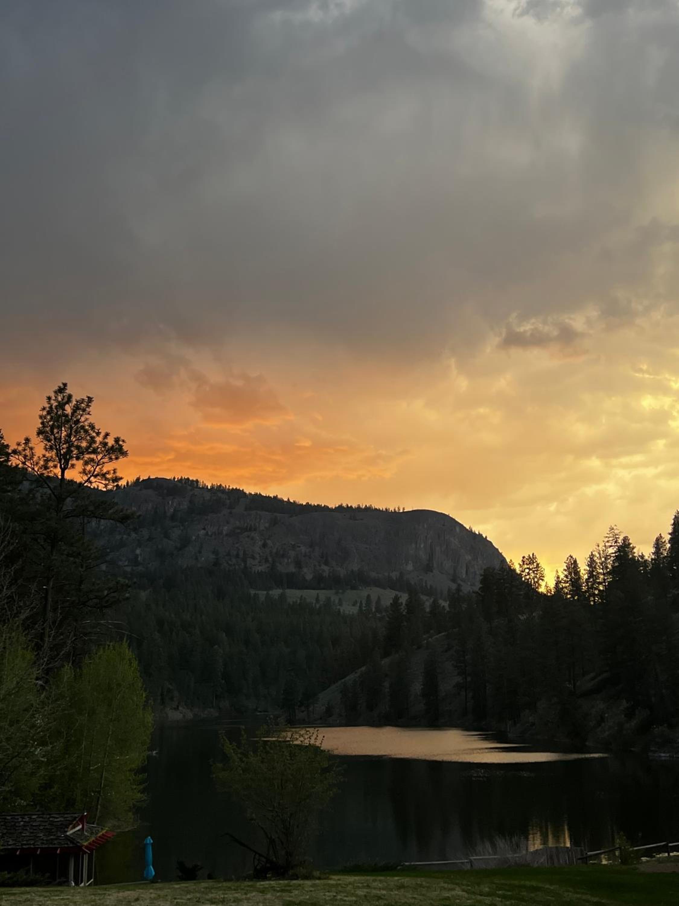 Mountain Springs Nature Retreat