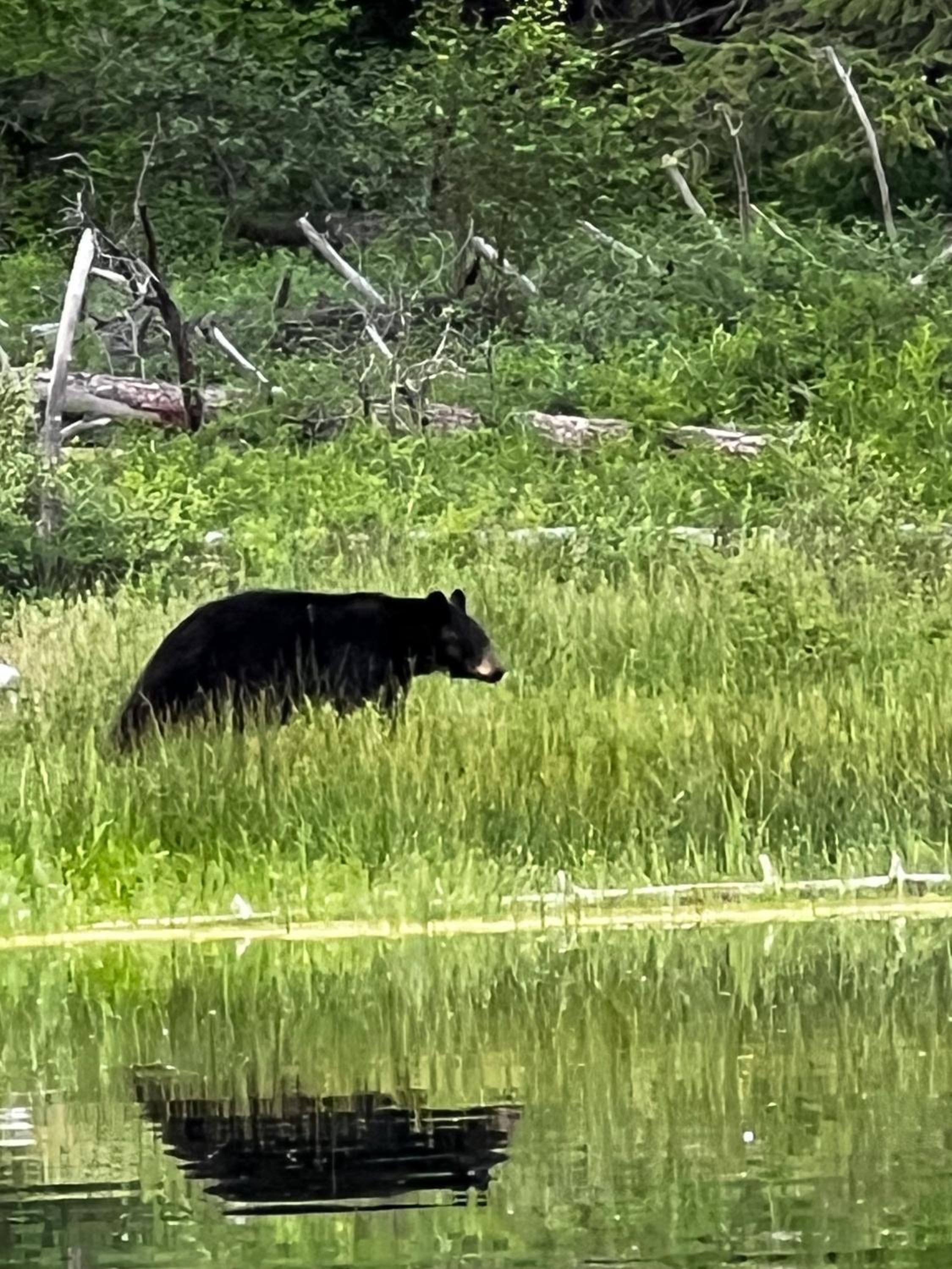 Mountain Springs Nature Retreat