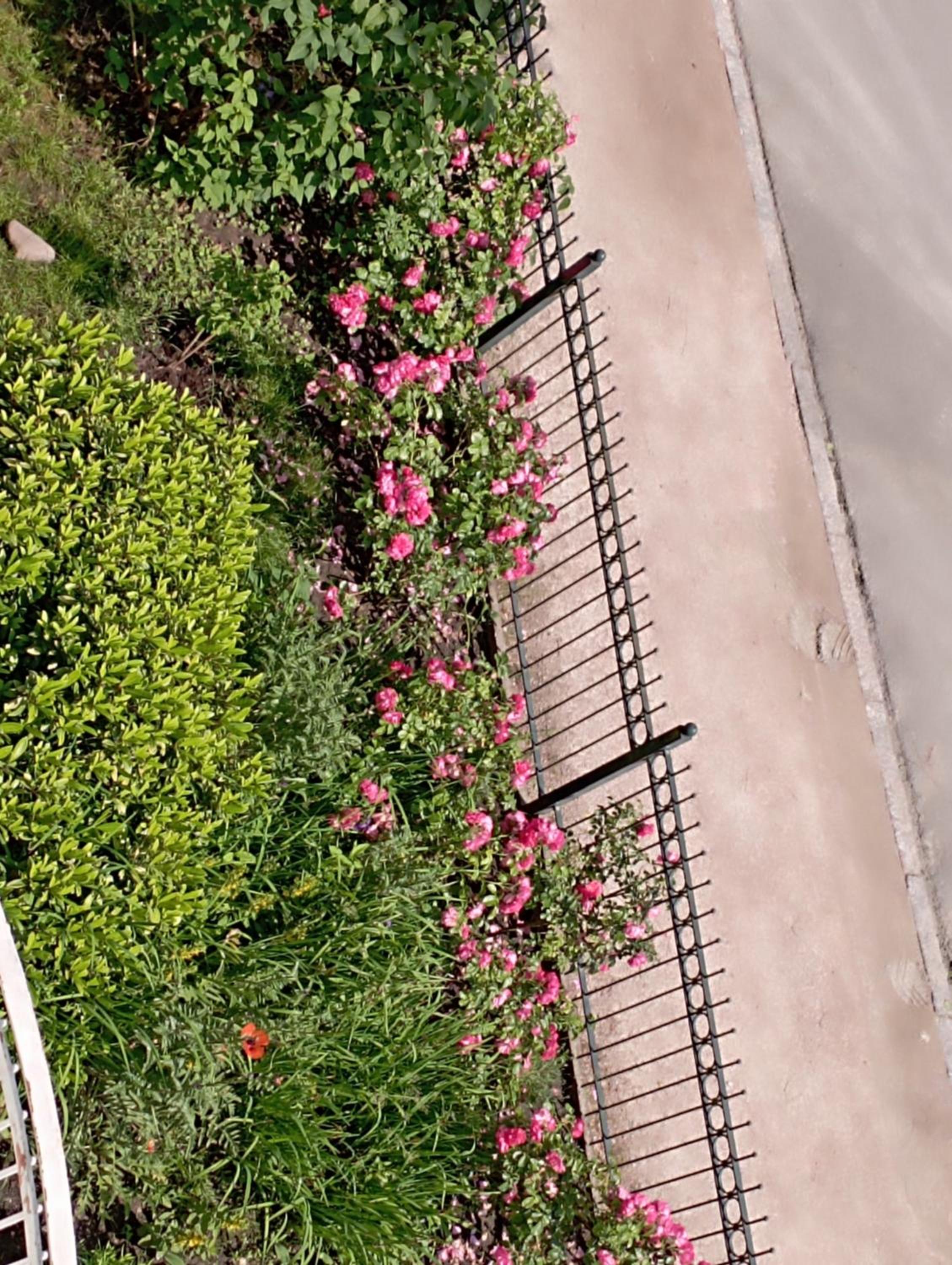 Peaceful Apartment-3 Zi, Loggia & Garden in Blankenese
