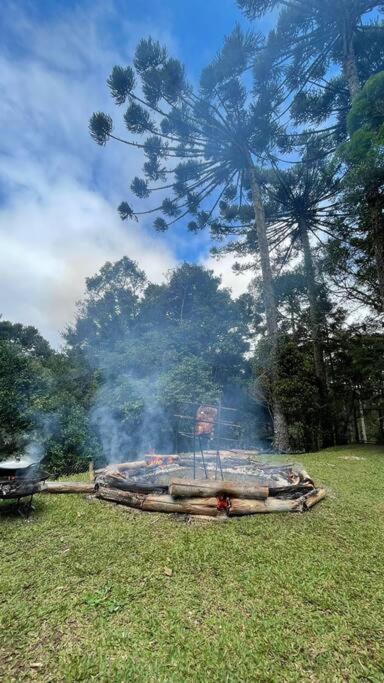 WolfsHaus sua família feliz junto à natureza