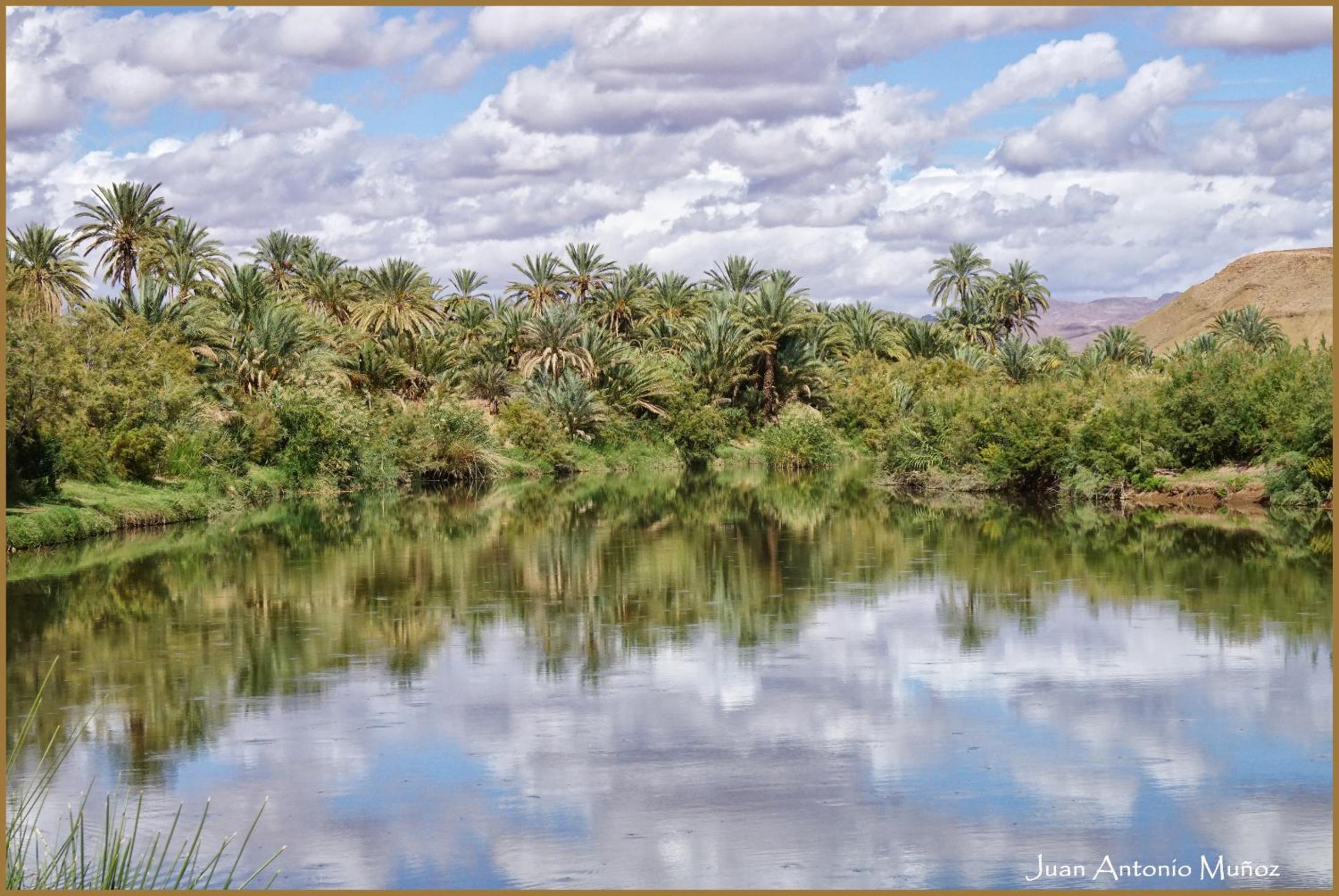 Lodge Hara Oasis
