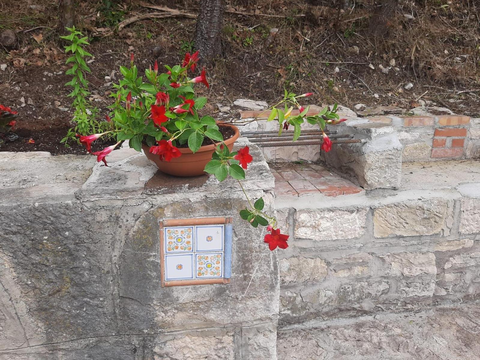 Photo 29