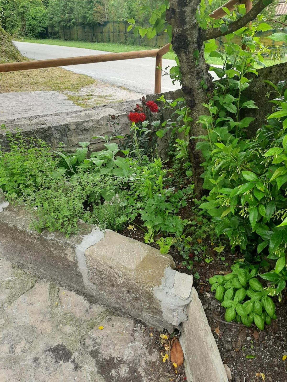 Photo 32