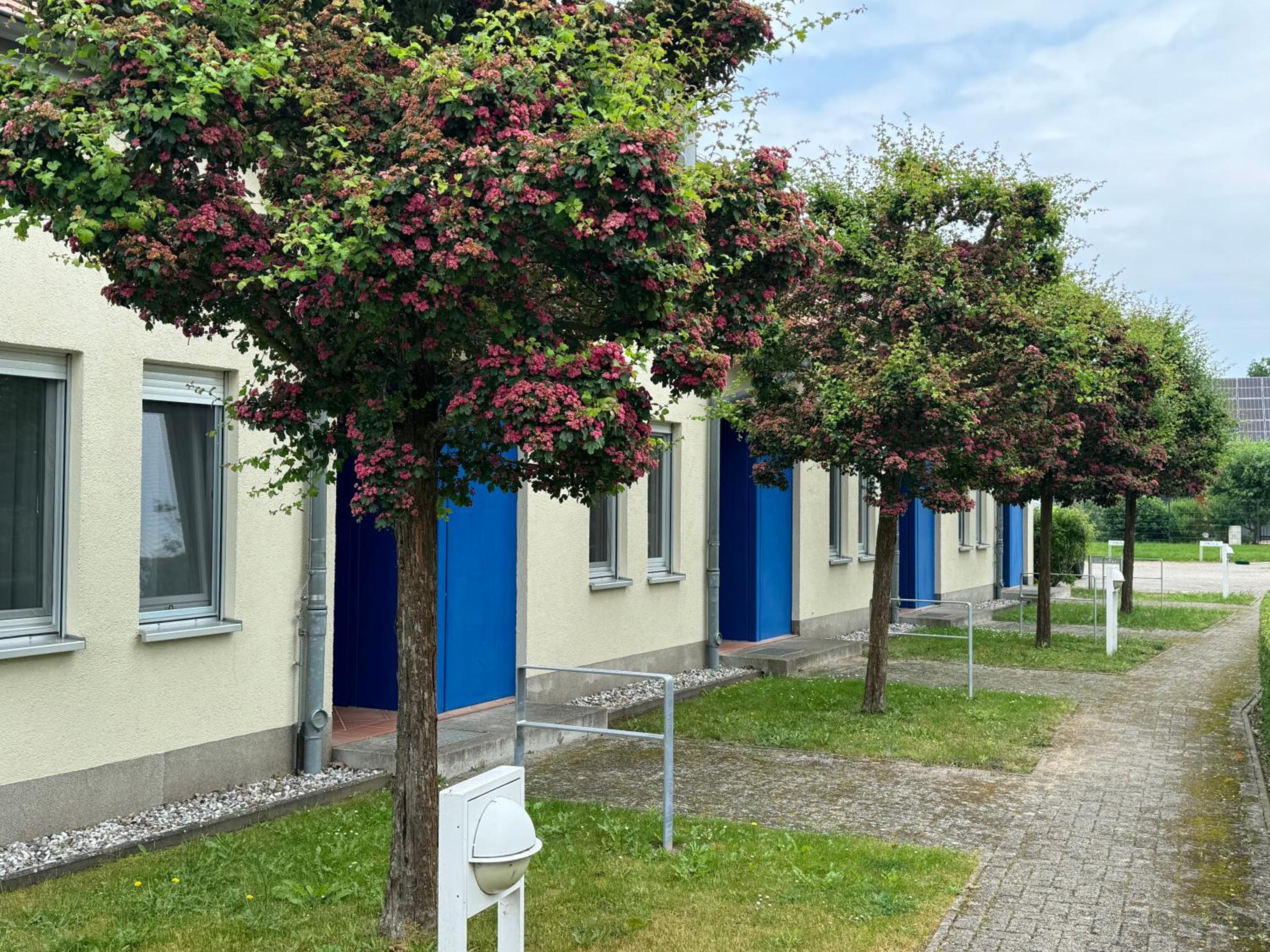 Kranich - Ferienwohnung mit Terrasse view 4