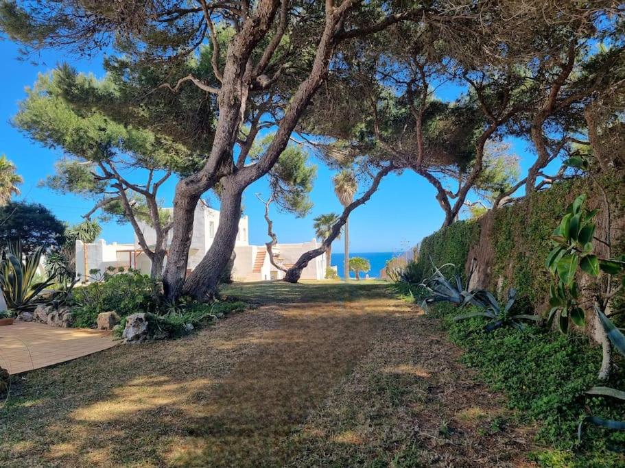 Casa Lesandar Ferienhaus auf Mallorca