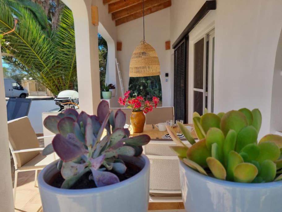 Casa Lesandar Ferienhaus auf Mallorca