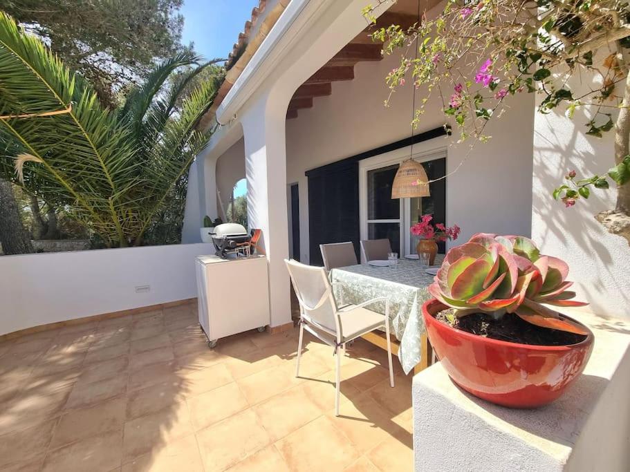 Casa Lesandar Ferienhaus auf Mallorca