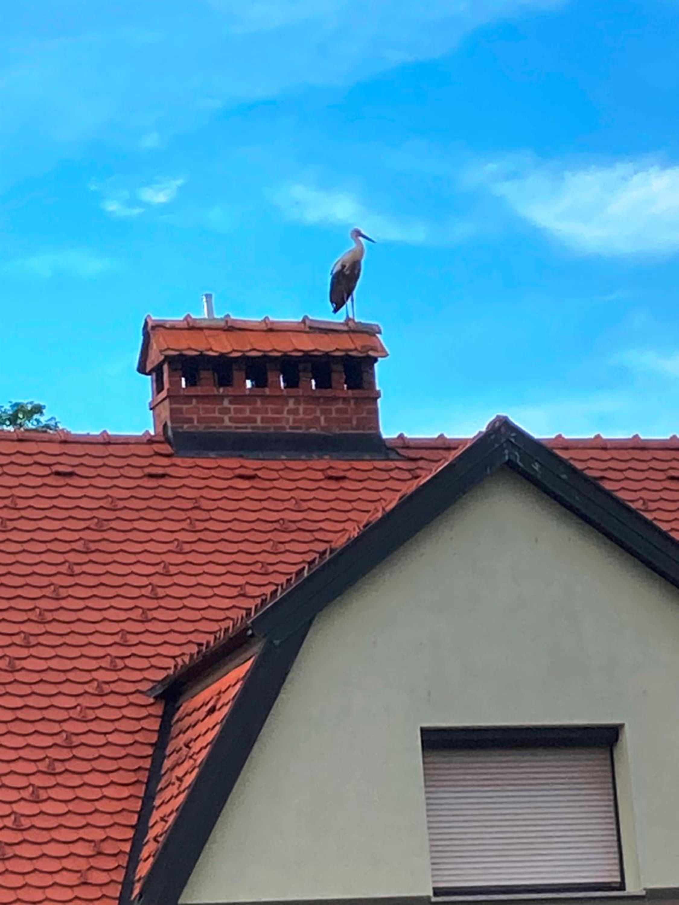 Apartma Tinkara