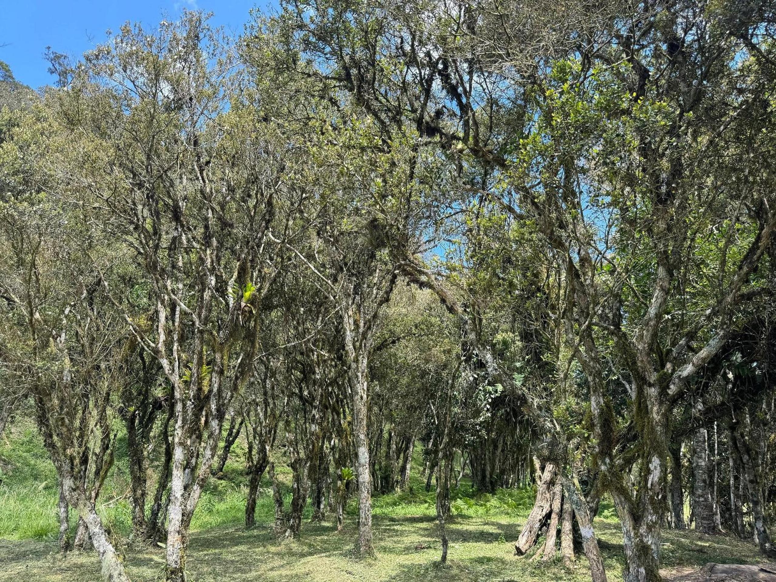 Vila Vert - Rancho Queimado - SC