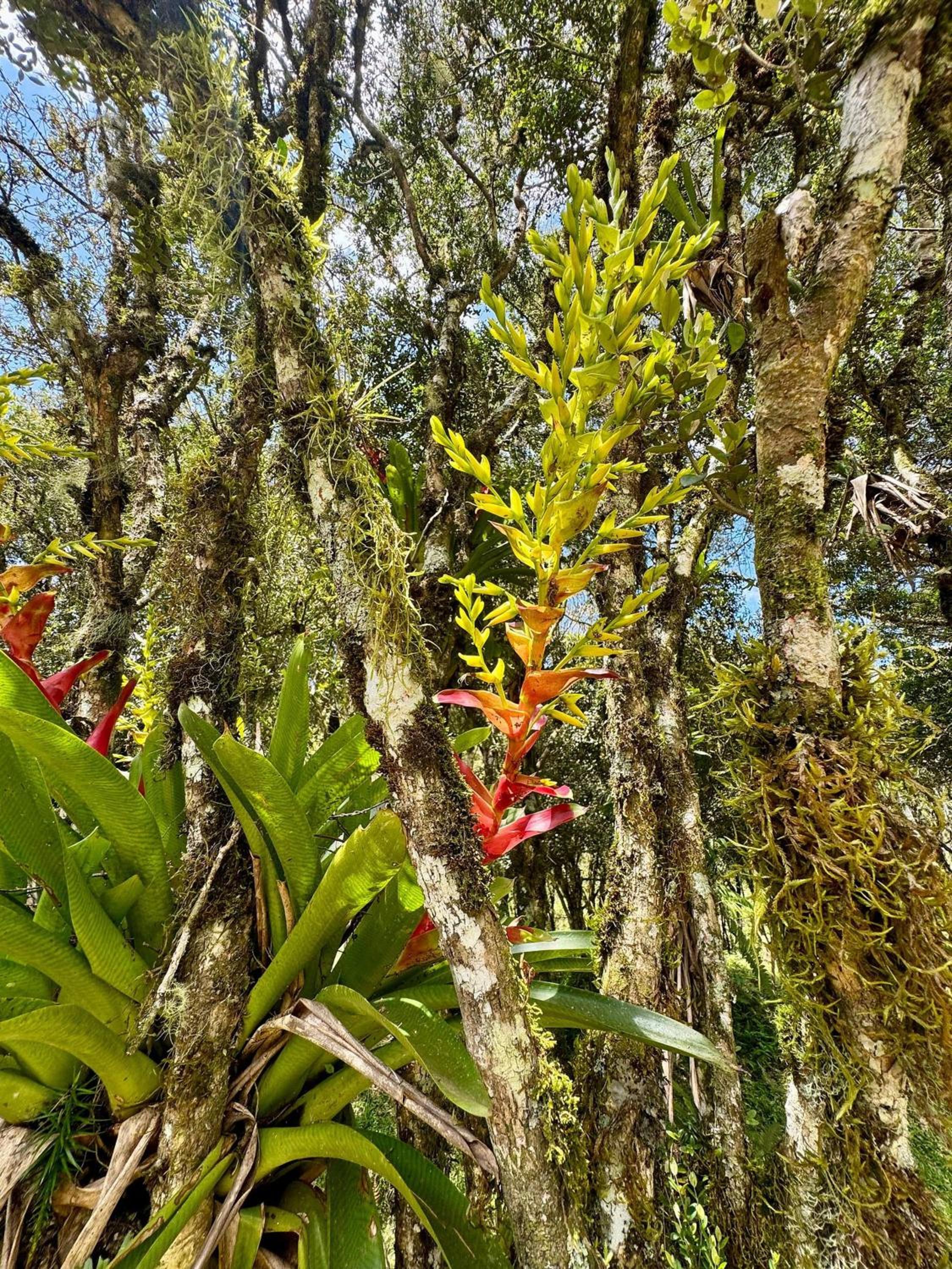 Vila Vert - Rancho Queimado - SC