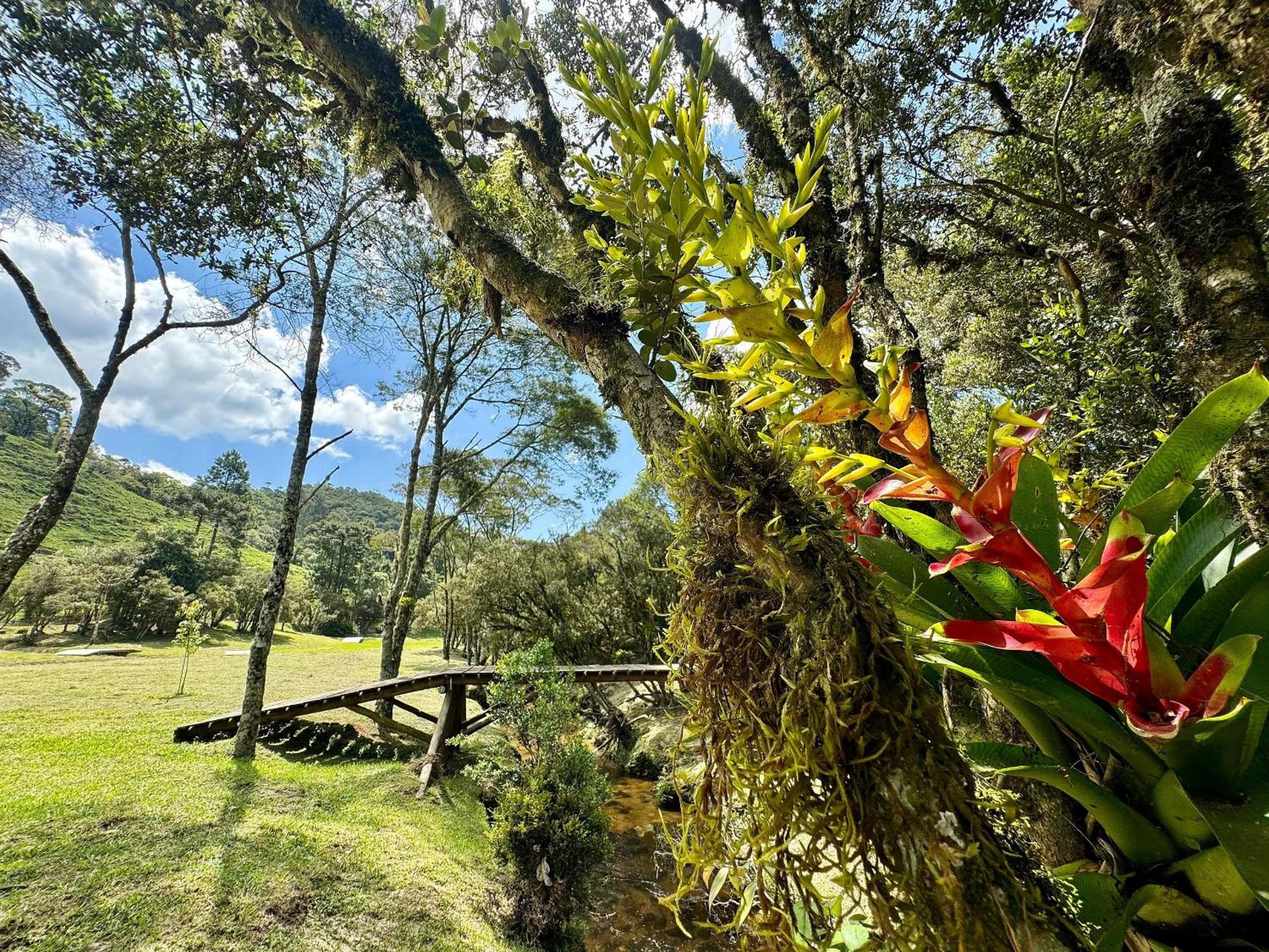 Vila Vert - Rancho Queimado - SC