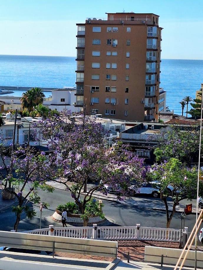 Bonanza Sea Horse Vacations