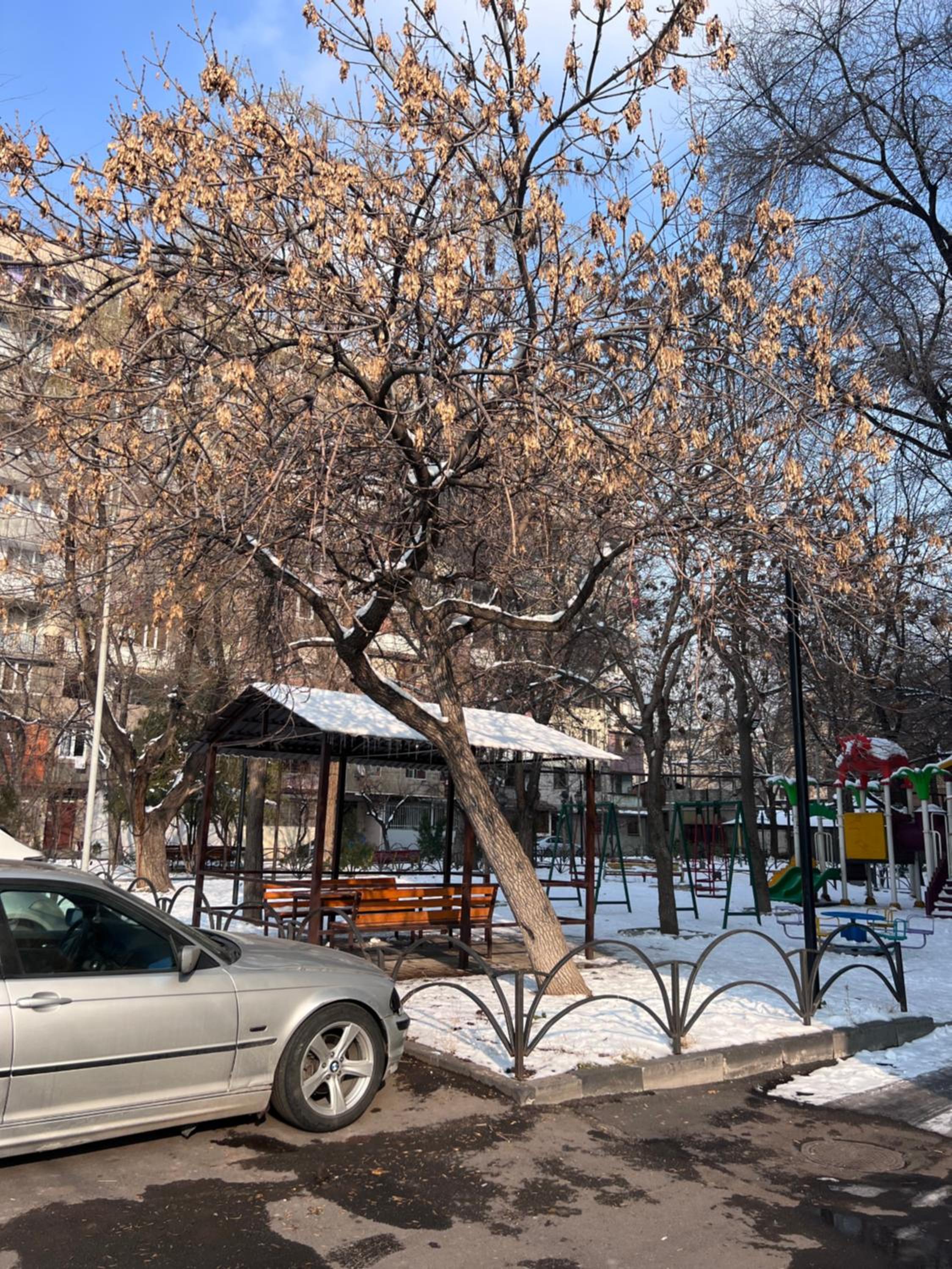 Cozy and stylish Apartment in Yerevan