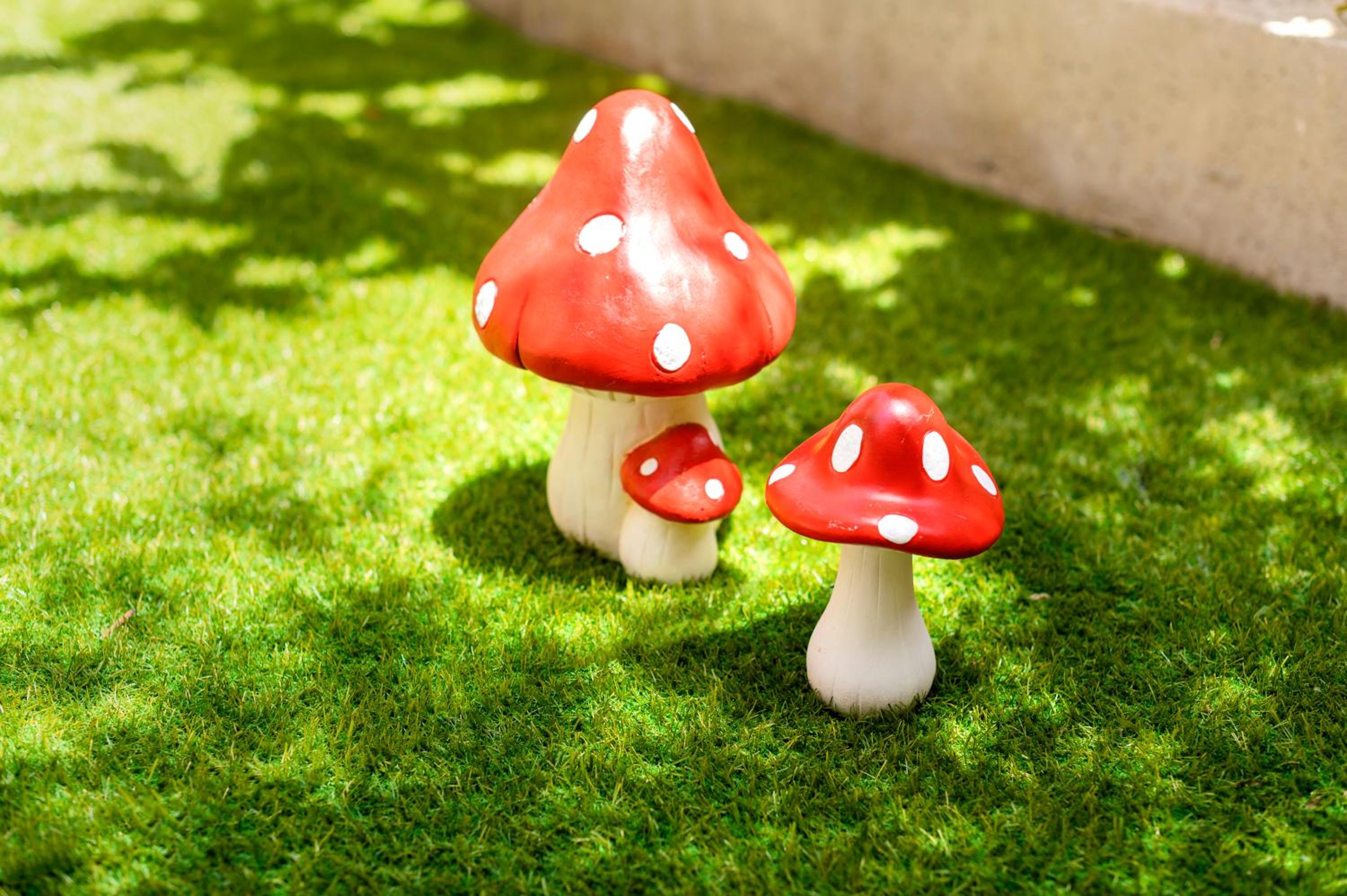 Lilliput Garden