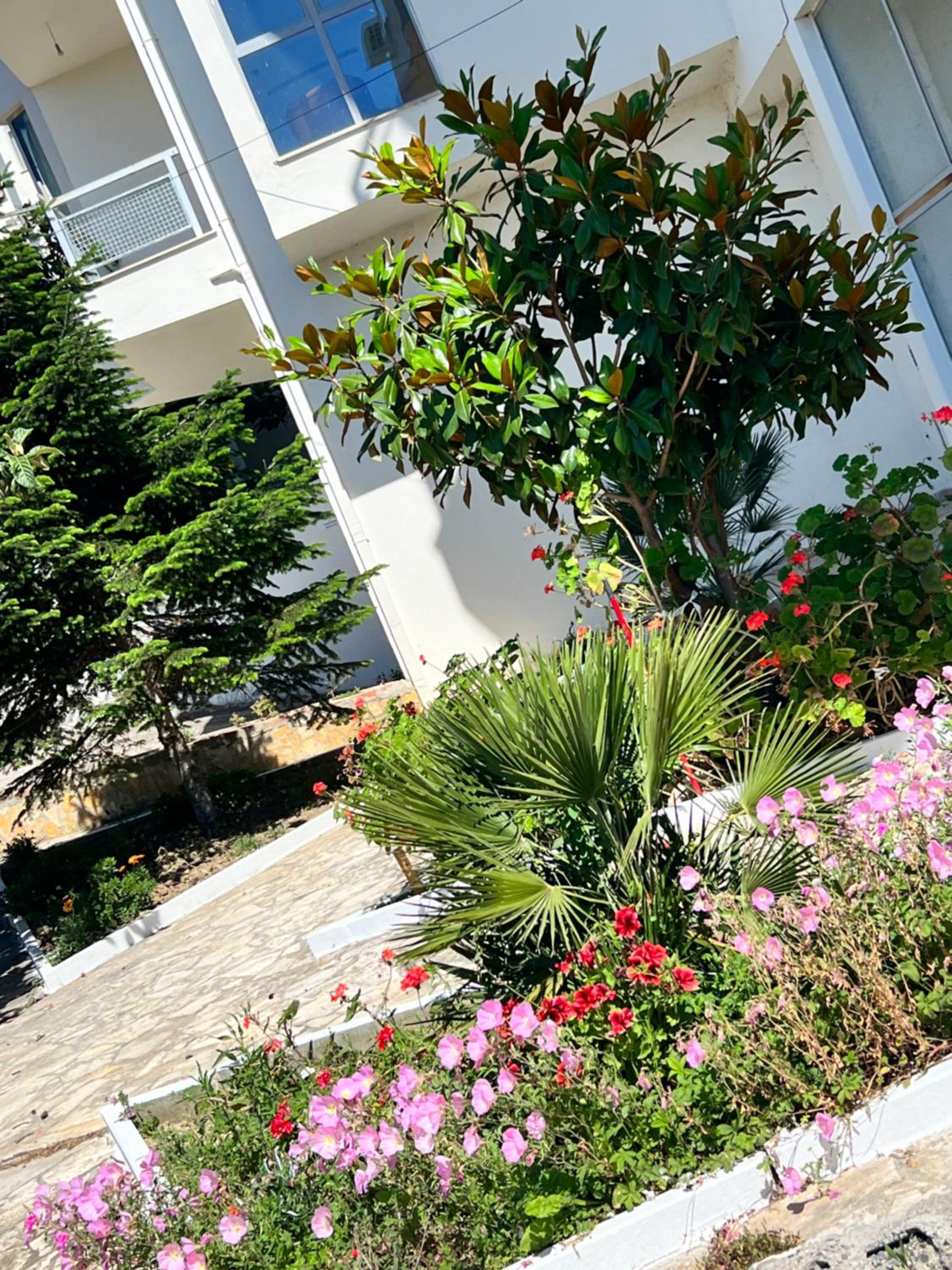 Belvista Seaview