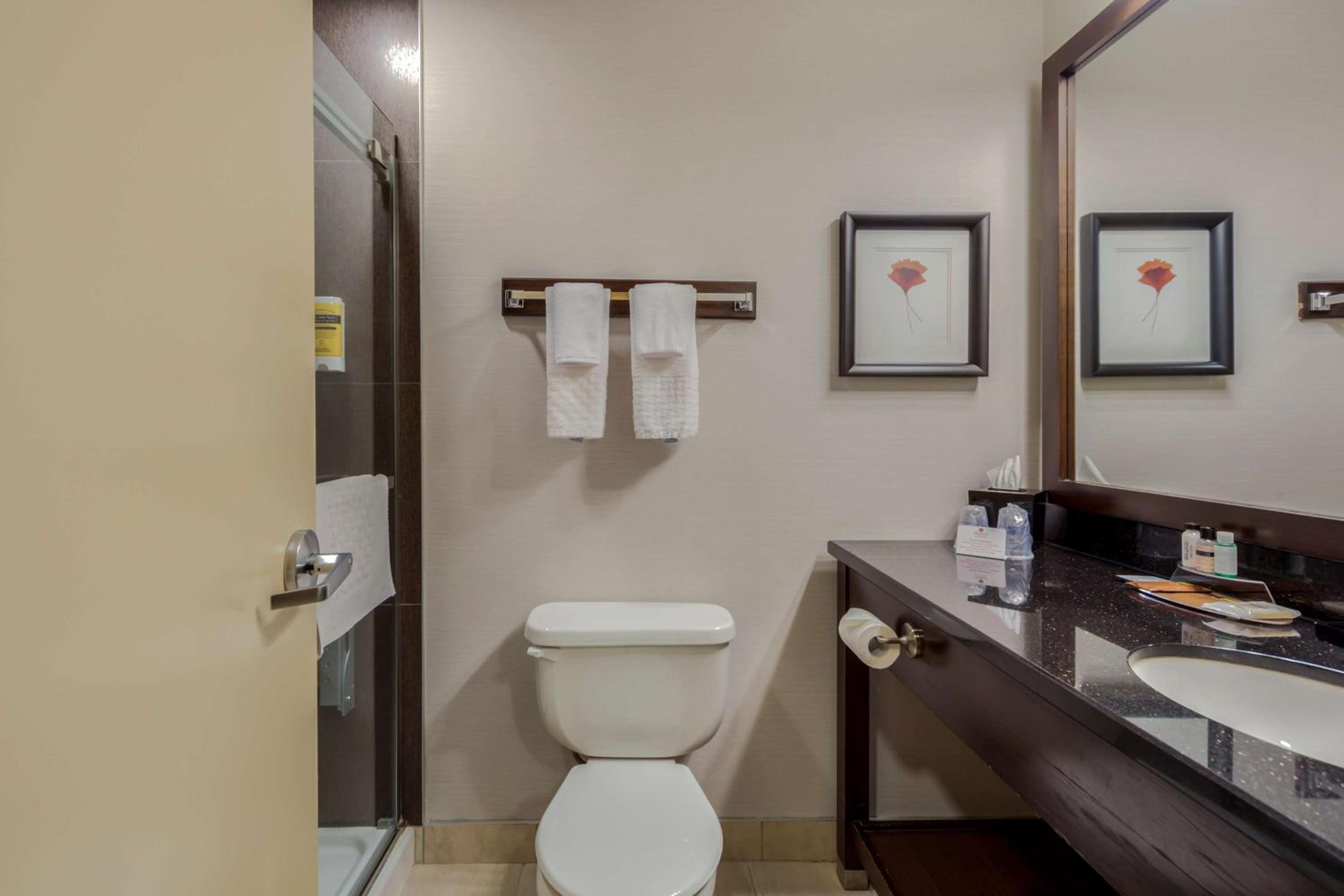 Leduc Vacations - Best Western Premier Denham Inn  Suites - Property Image 9