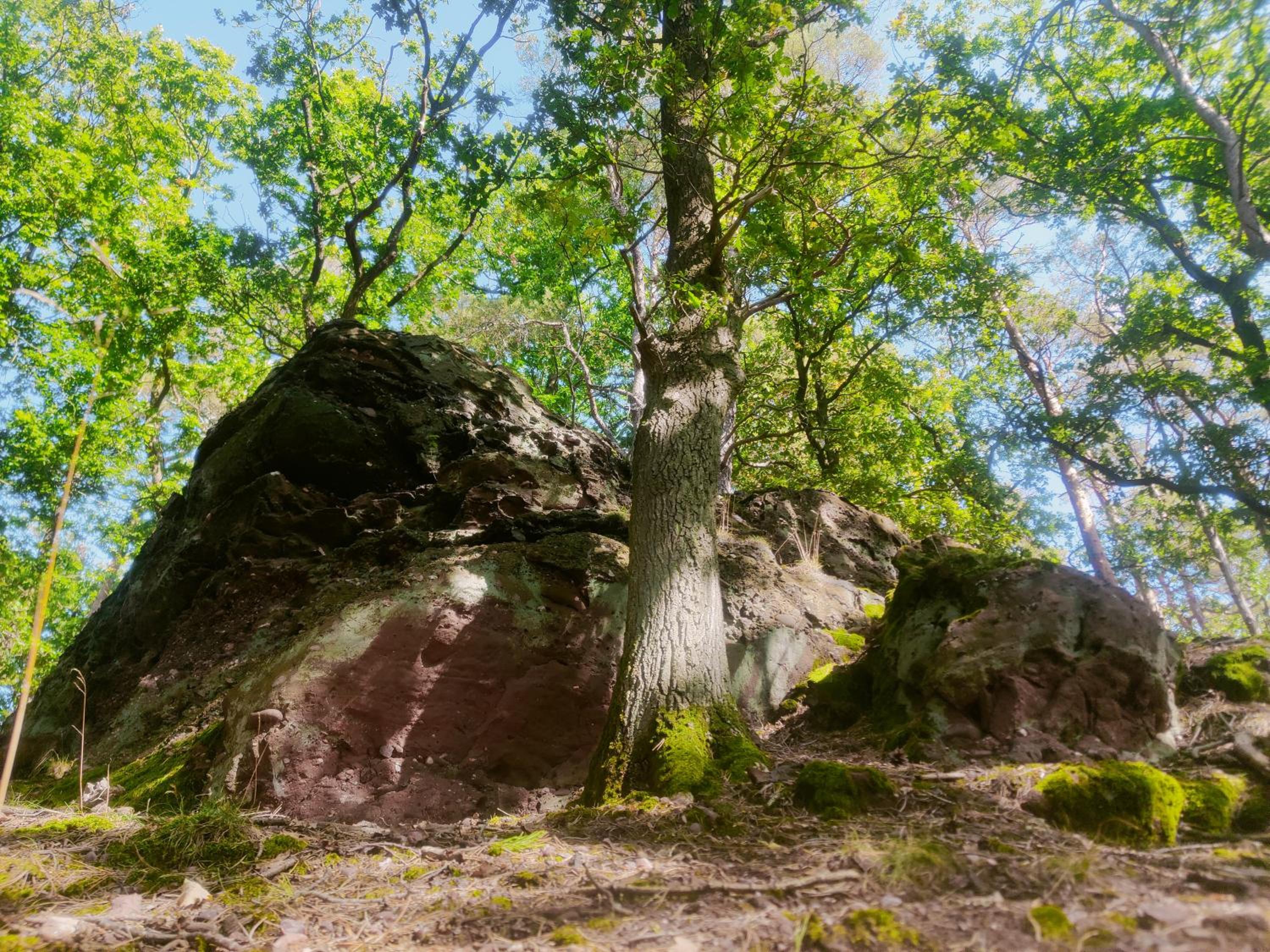 Gemütliches Bauernhaus am Nationalpark Eifel