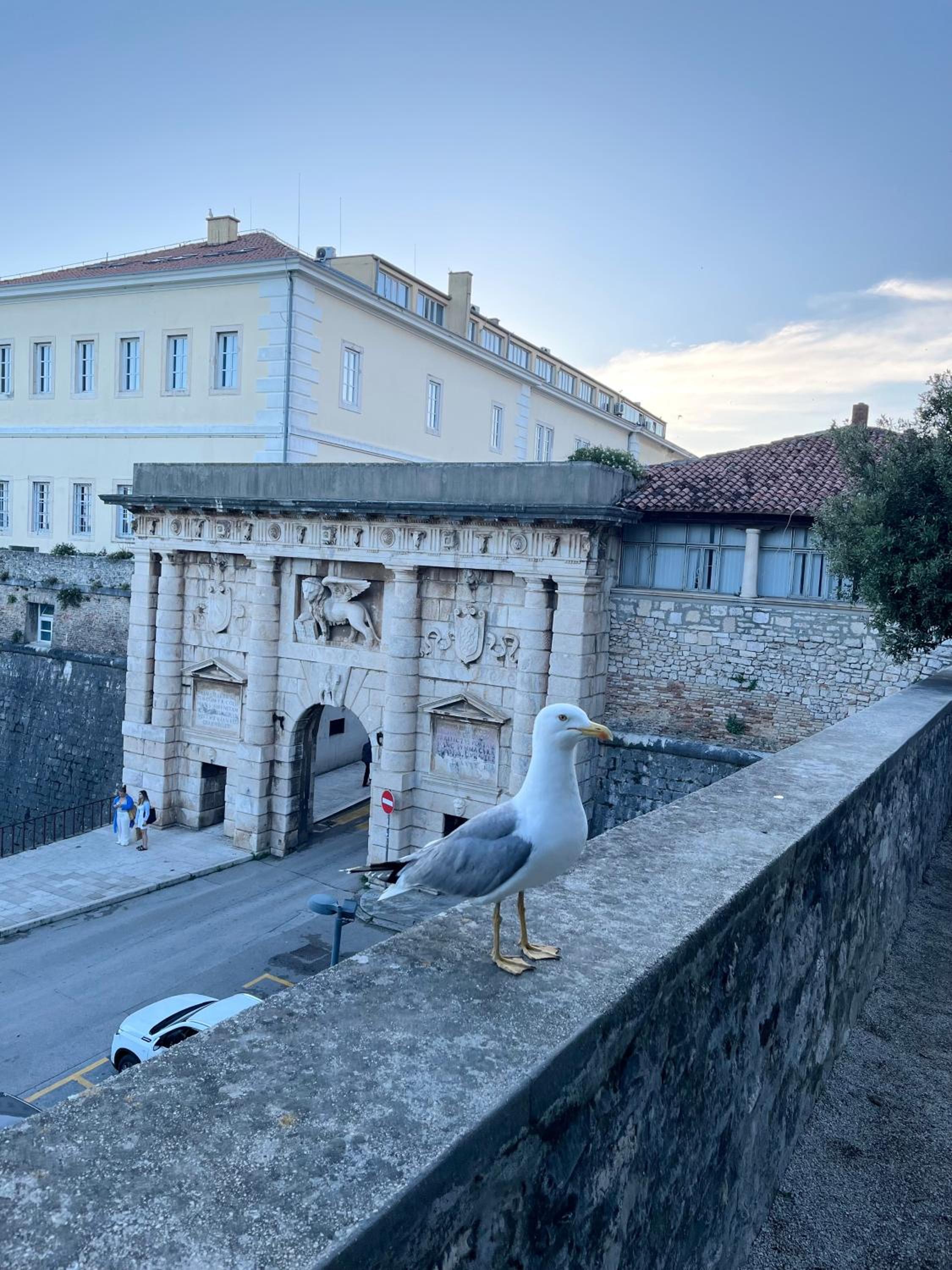 Luxury Majpruz Suites
