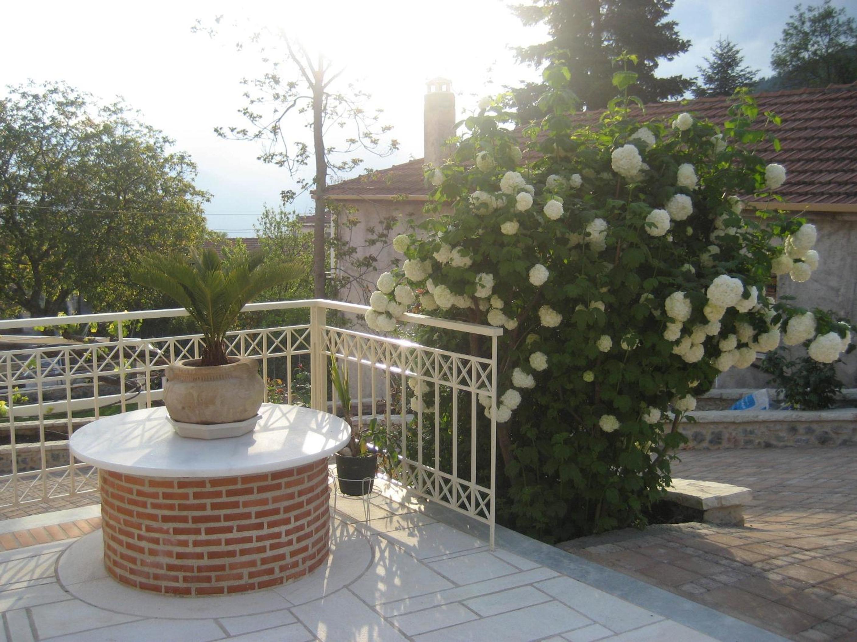 Photo 26