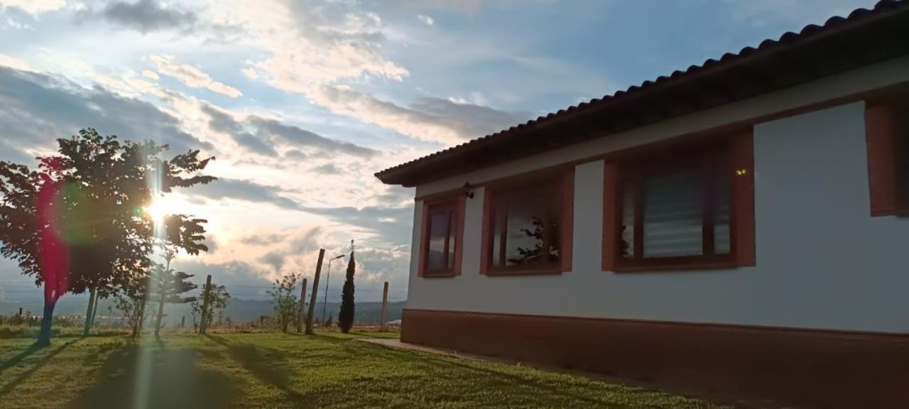 Home Boutique Flores Amarillas