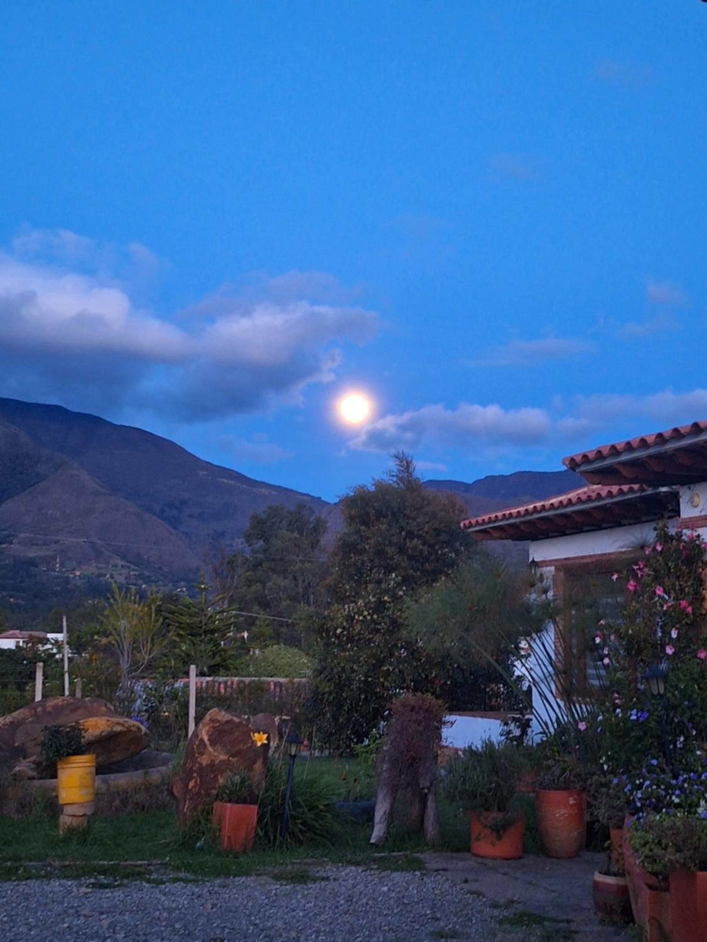 Home Boutique Flores Amarillas