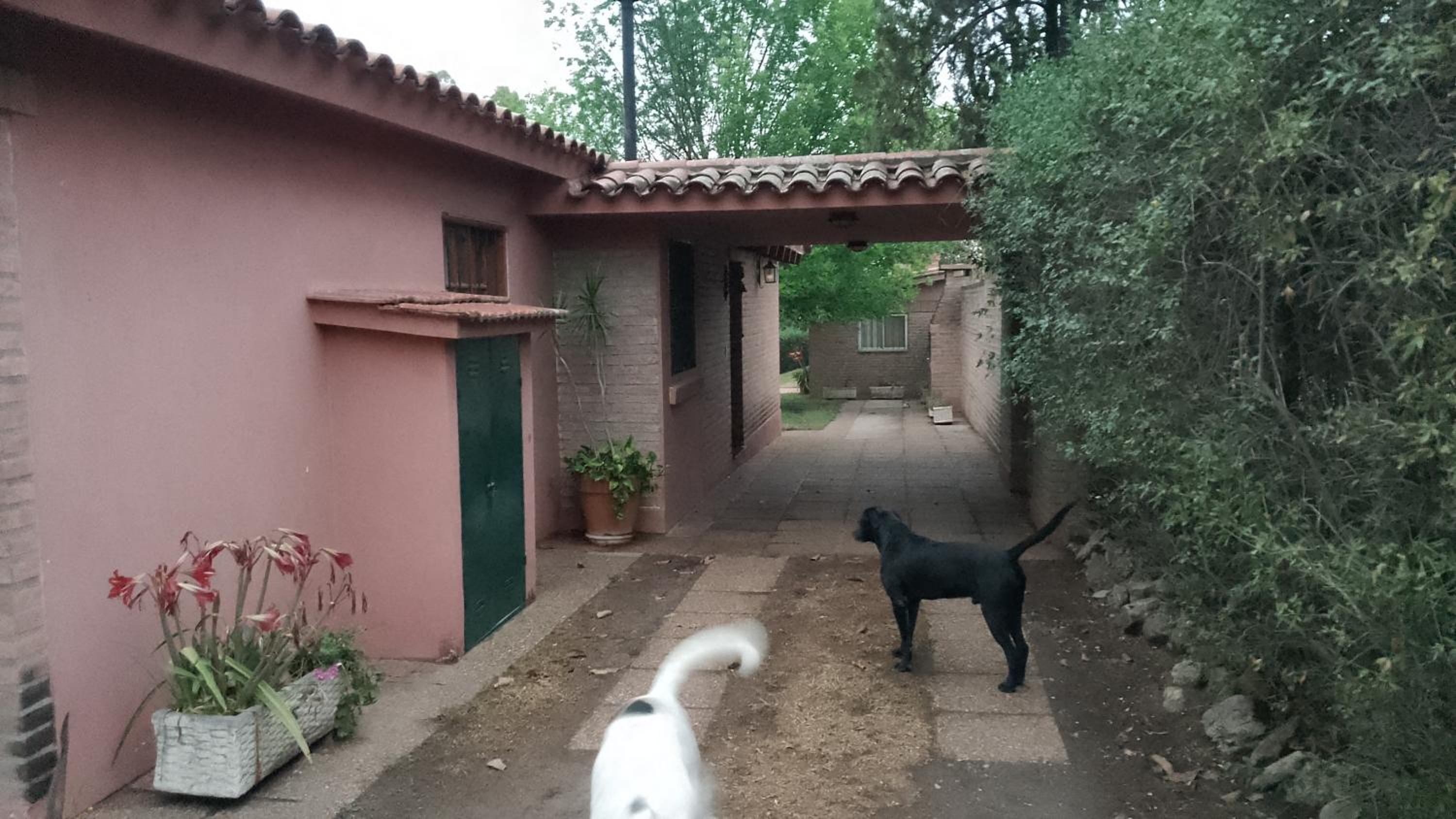 Casa chalet con pileta en temporada