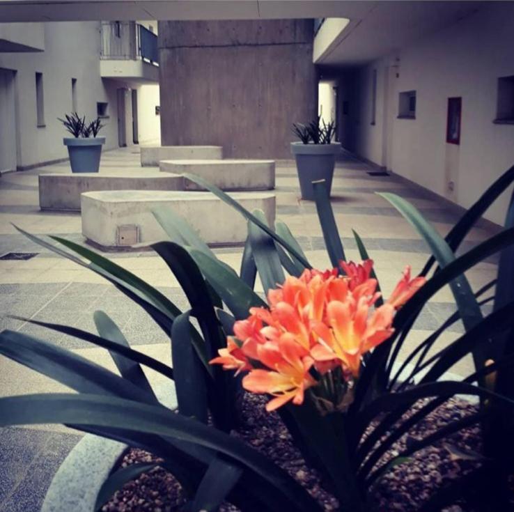 PuertoNorteHome
