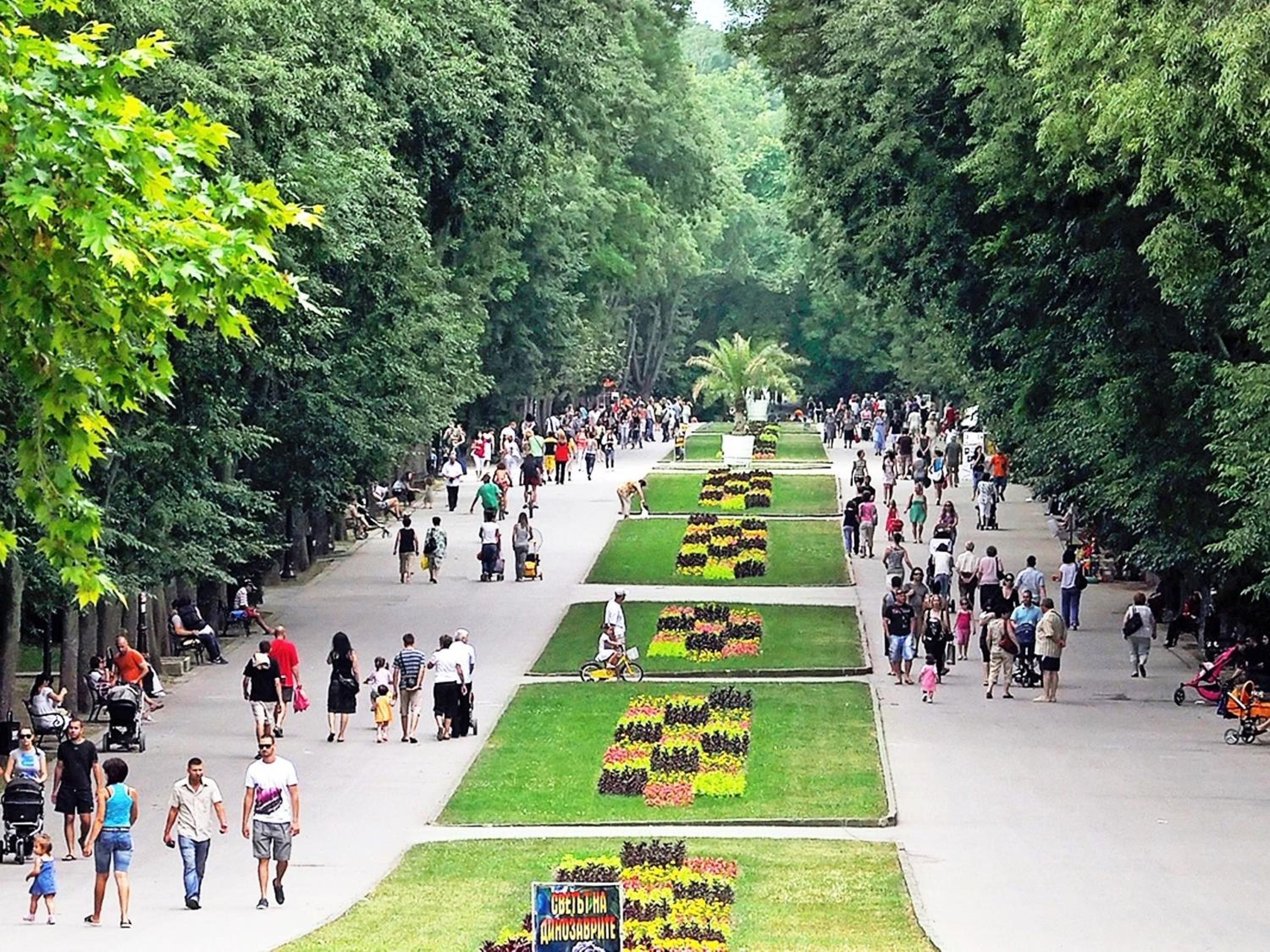 Homex #Varna-Bazar