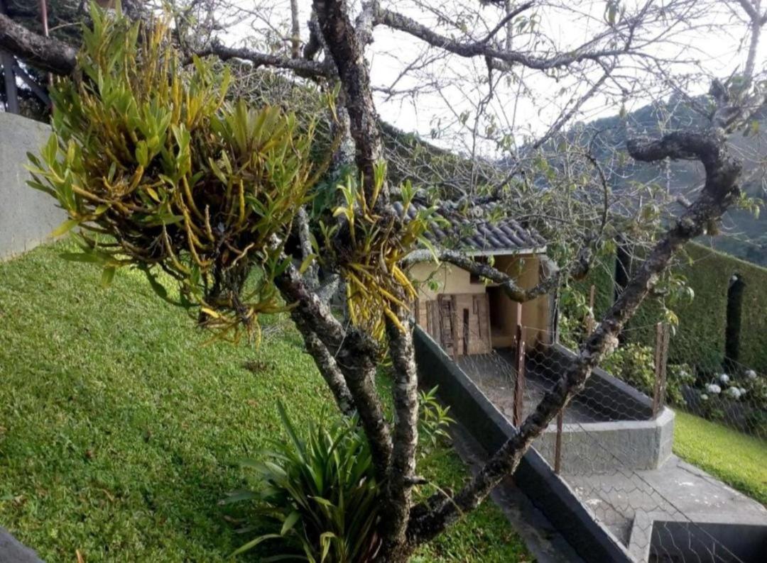 Suites na Montanha