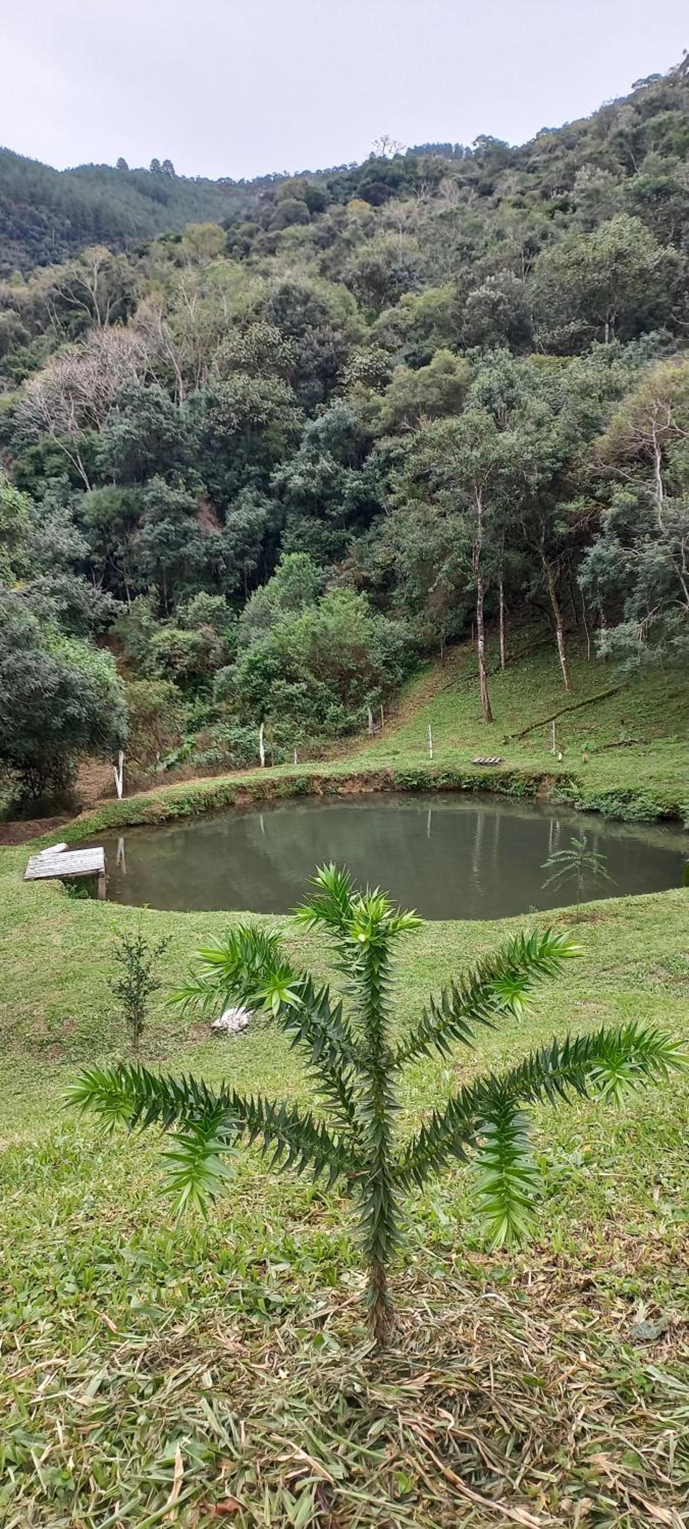 Cabana VÔ NANA
