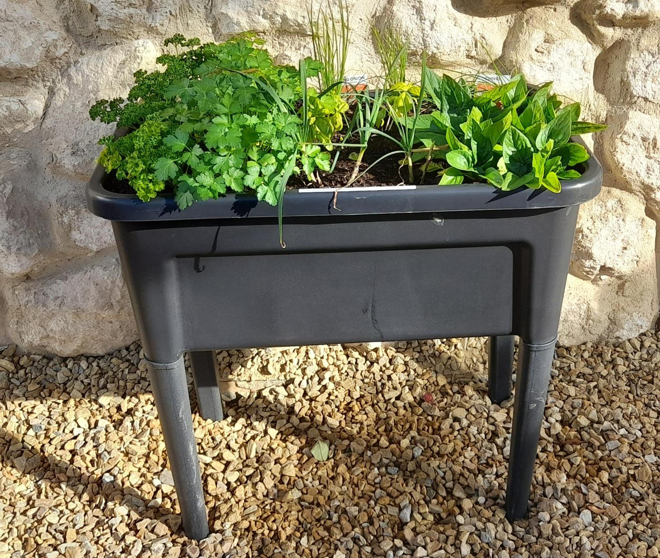 Hill Moi Country stay by the Sea