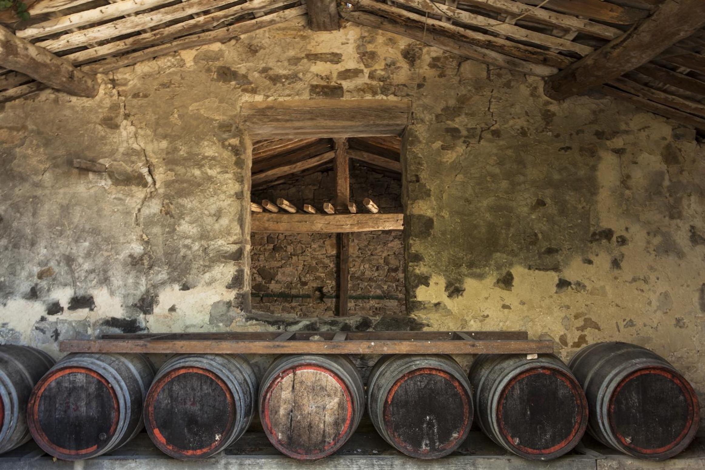 Quercia Al Poggio