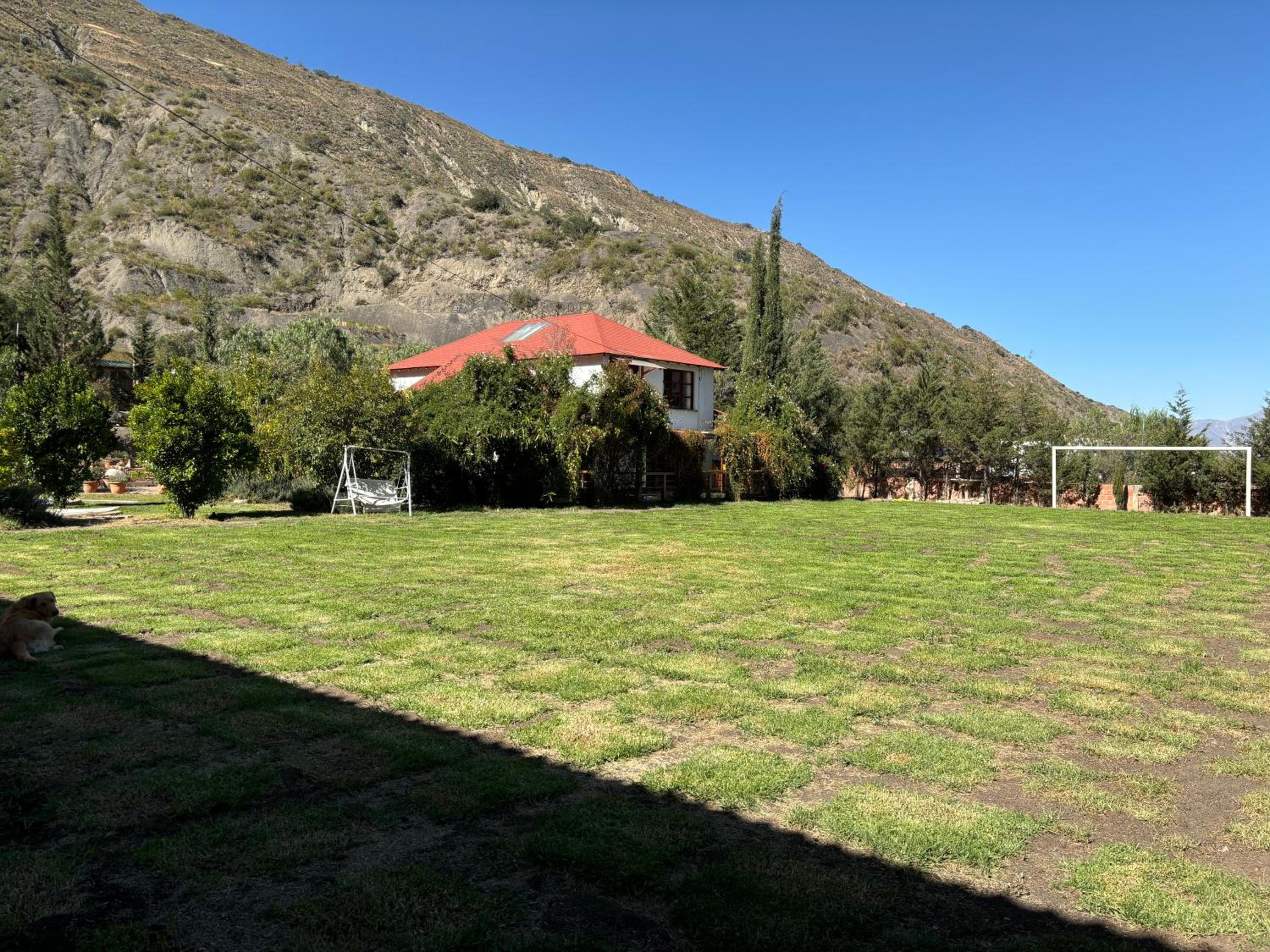 El bosque huajchilla