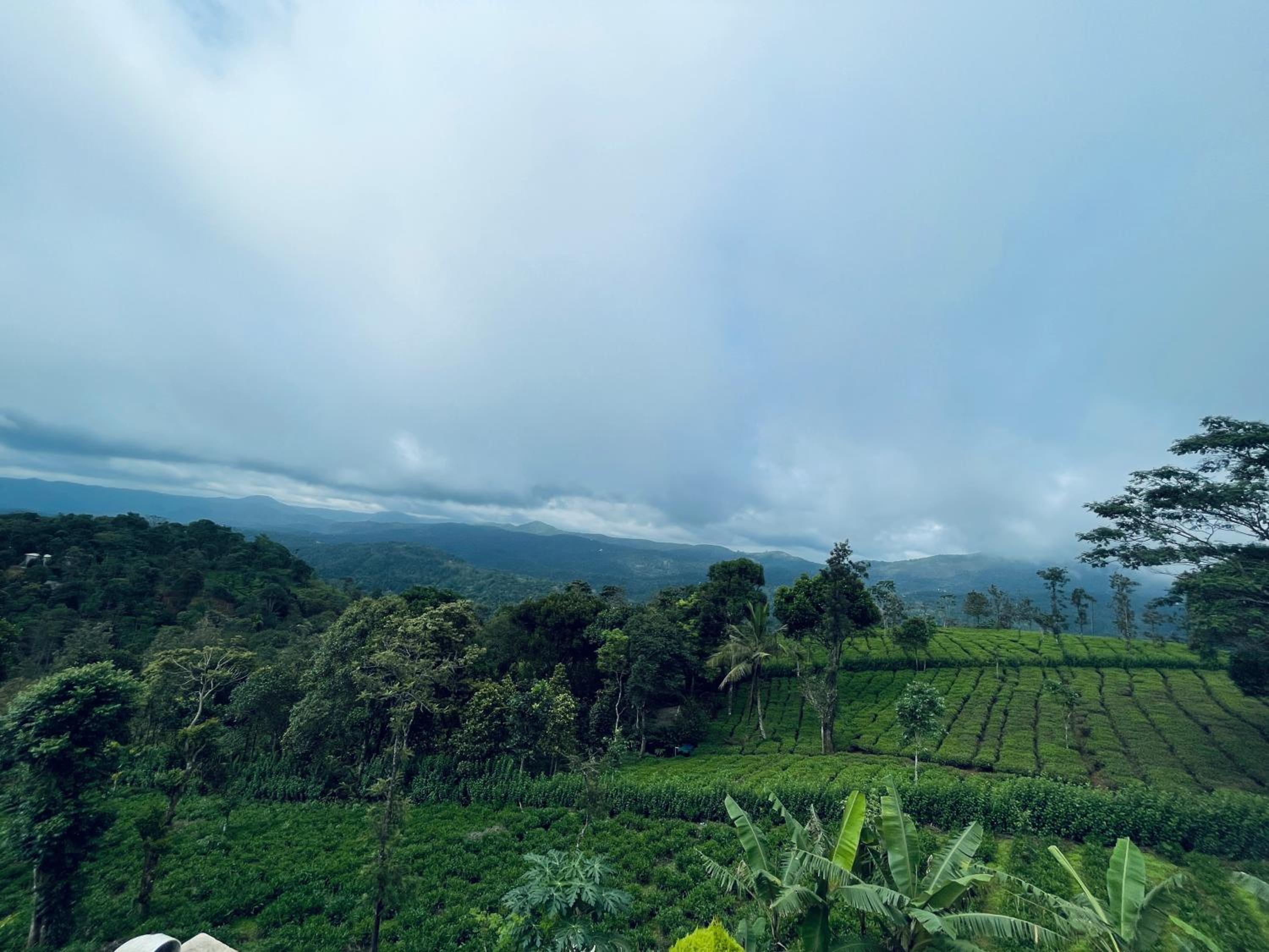 Best Mist view 5