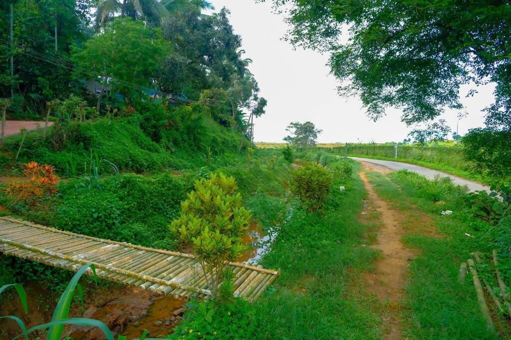 Stay Nest Homestay view 3
