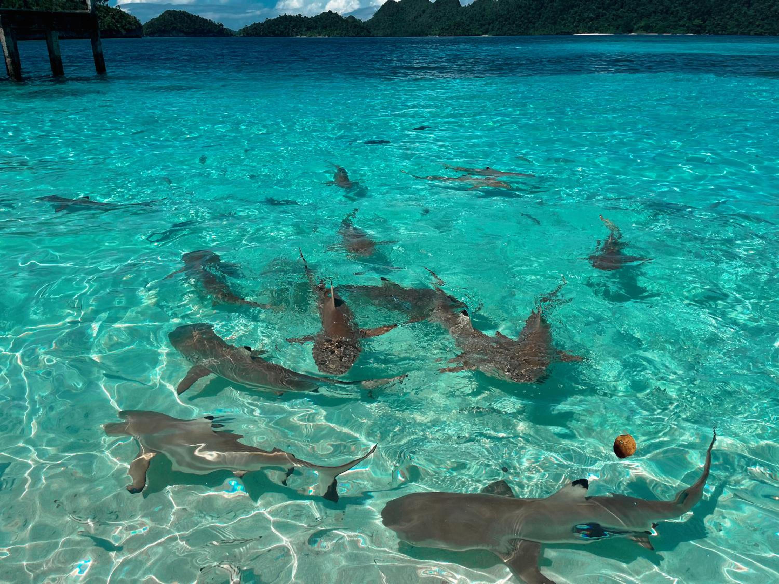 other