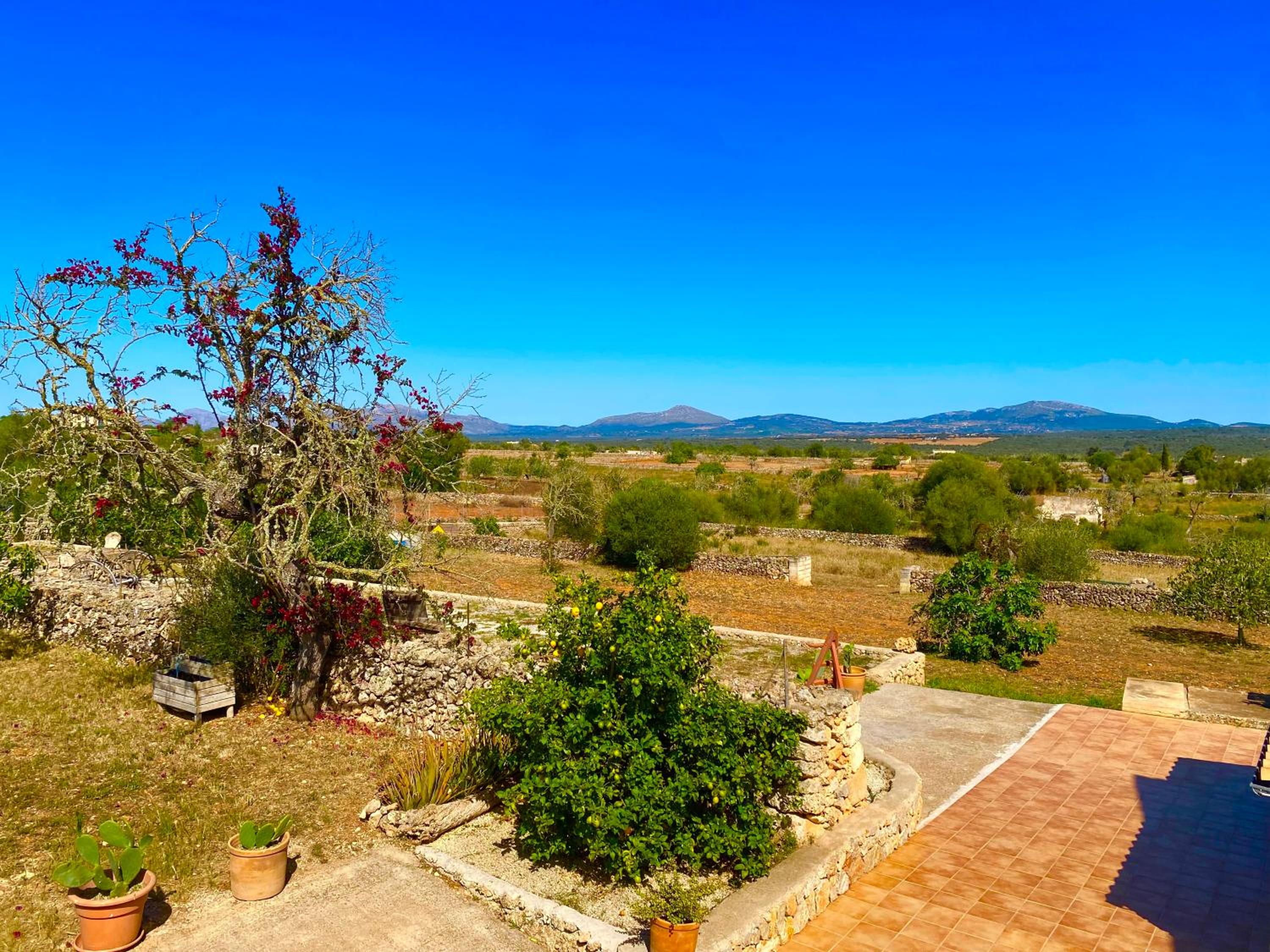 Can Susacasa relax rural con sol piscina y amplitud en Mallorca view 4